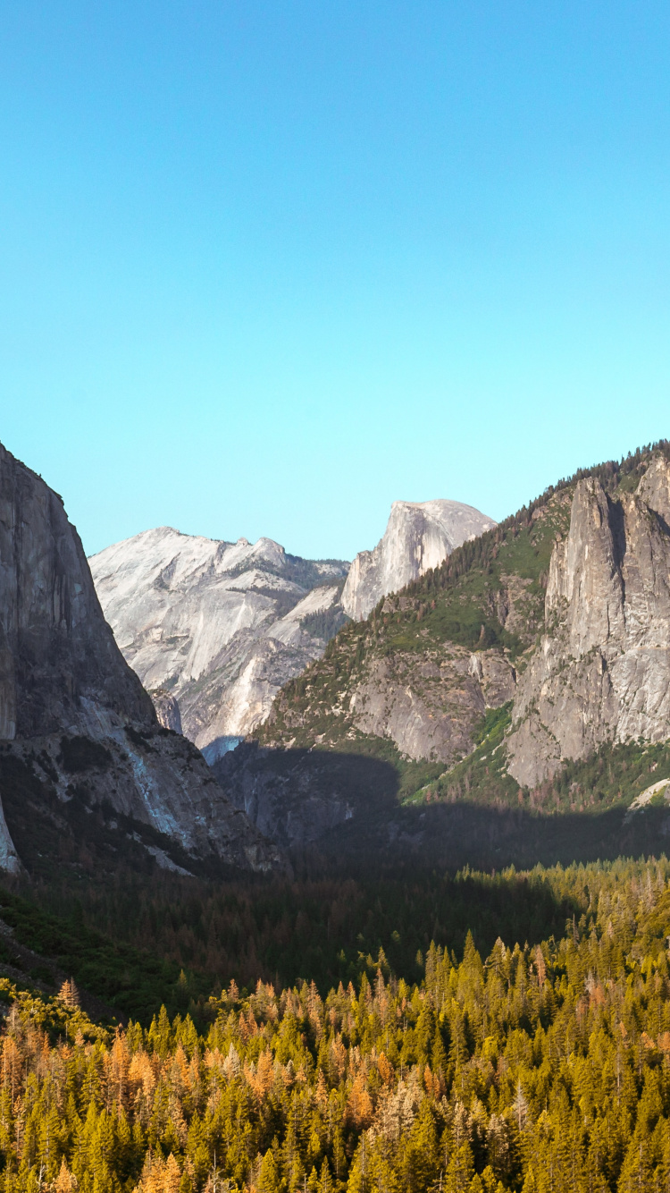 Yosemite Valley, Park, Natural Landscape, Mariposa Grove, Half Dome. Wallpaper in 750x1334 Resolution
