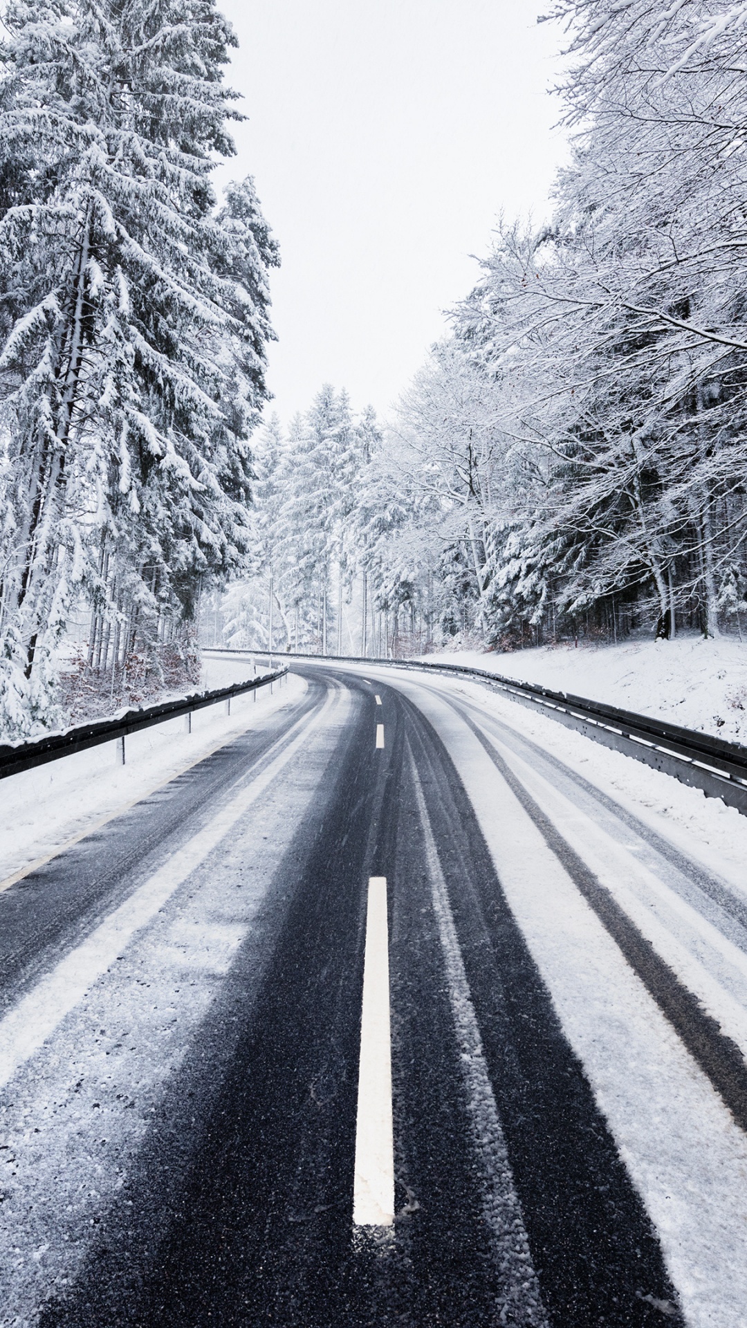 Winter Road, Road, Winter, Plant, Daytime. Wallpaper in 1080x1920 Resolution