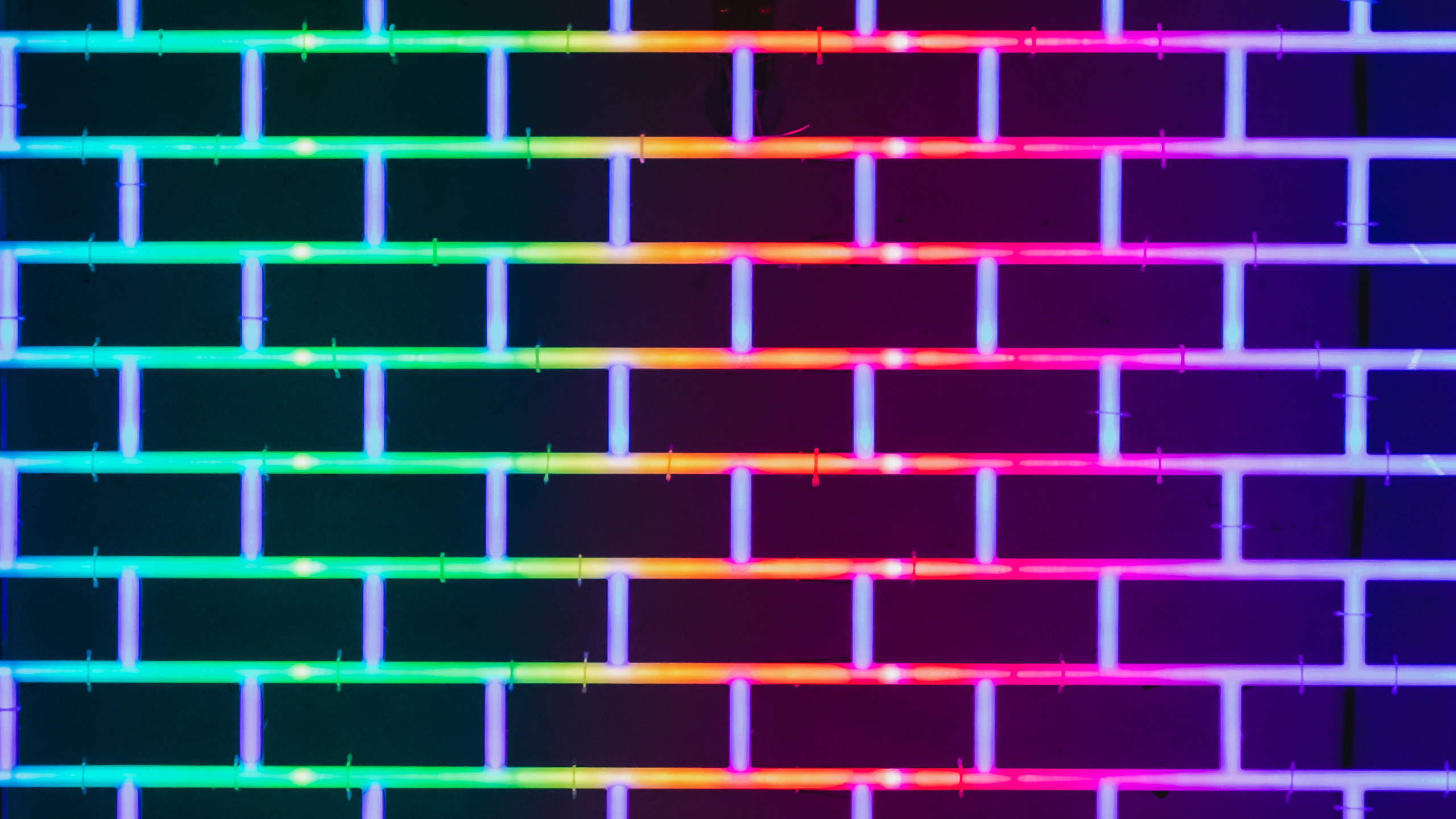Brick, Line, Purple, Violet, Pattern. Wallpaper in 2560x1440 Resolution