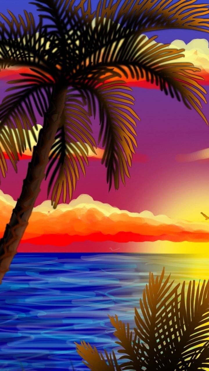 Palm Tree Near Body of Water During Sunset. Wallpaper in 720x1280 Resolution