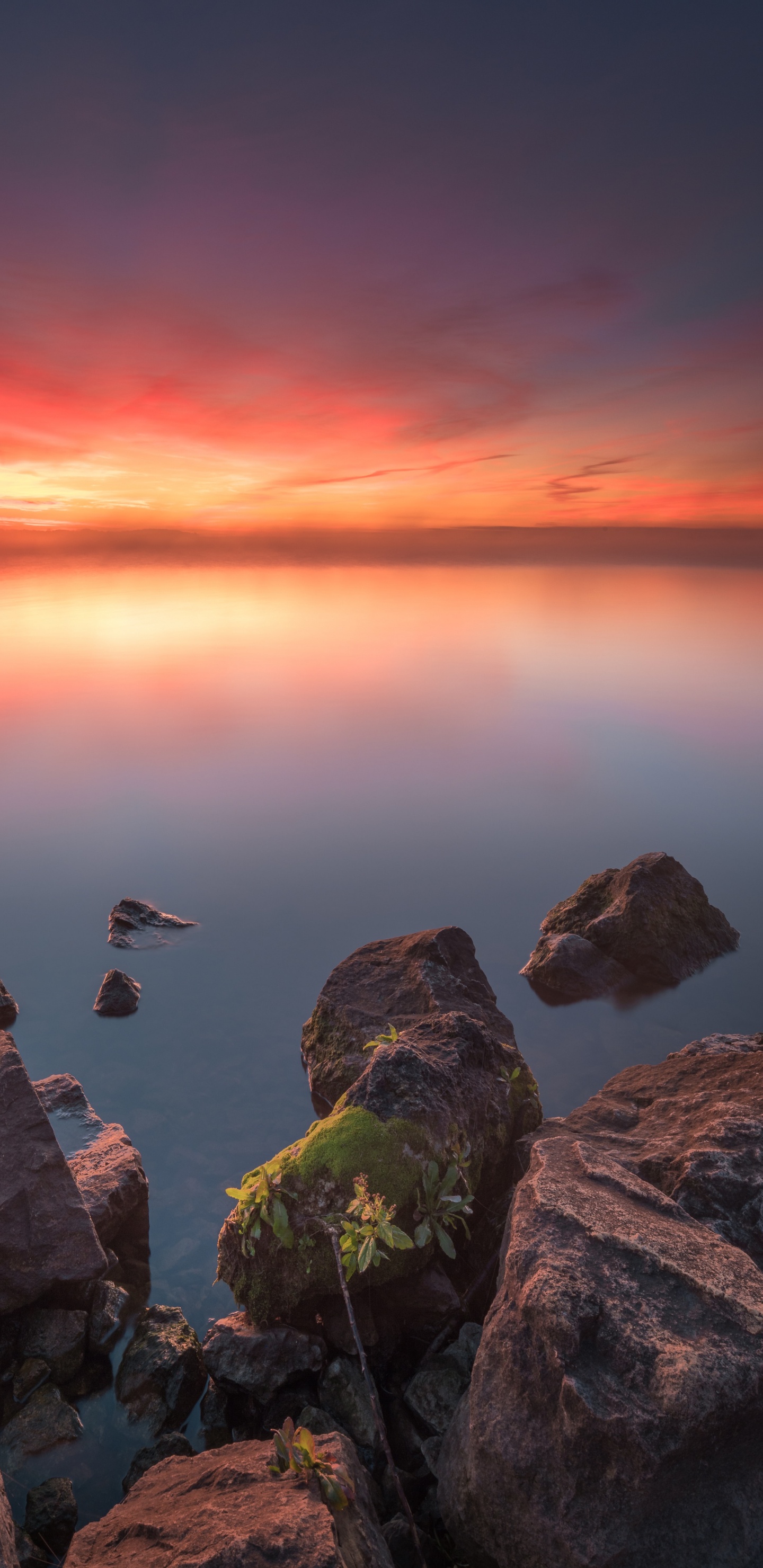 Sea, Song, Water, Atmosphere, Cloud. Wallpaper in 1440x2960 Resolution