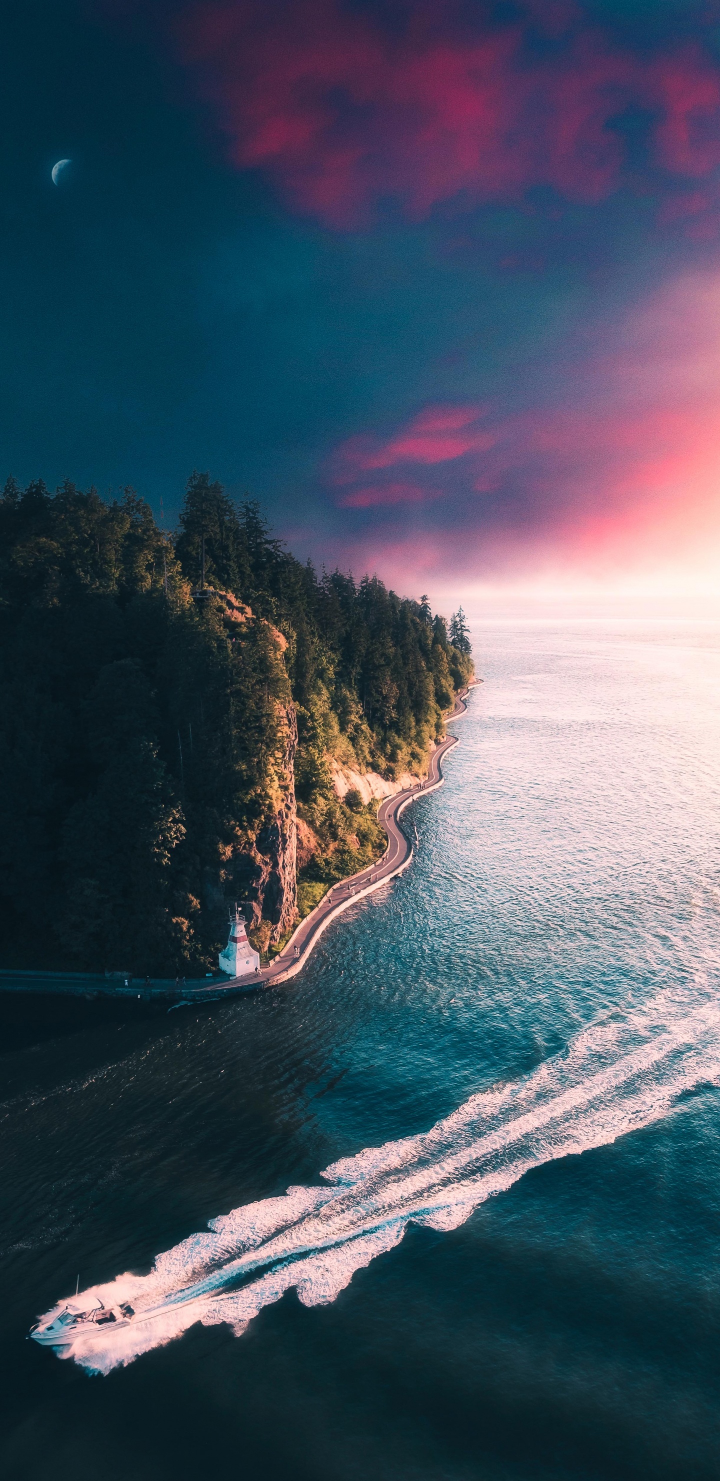 Stanley Park, Jasper National Park Of Canada, Vancouver Seawall, Downtown Vancouver, Park. Wallpaper in 1440x2960 Resolution