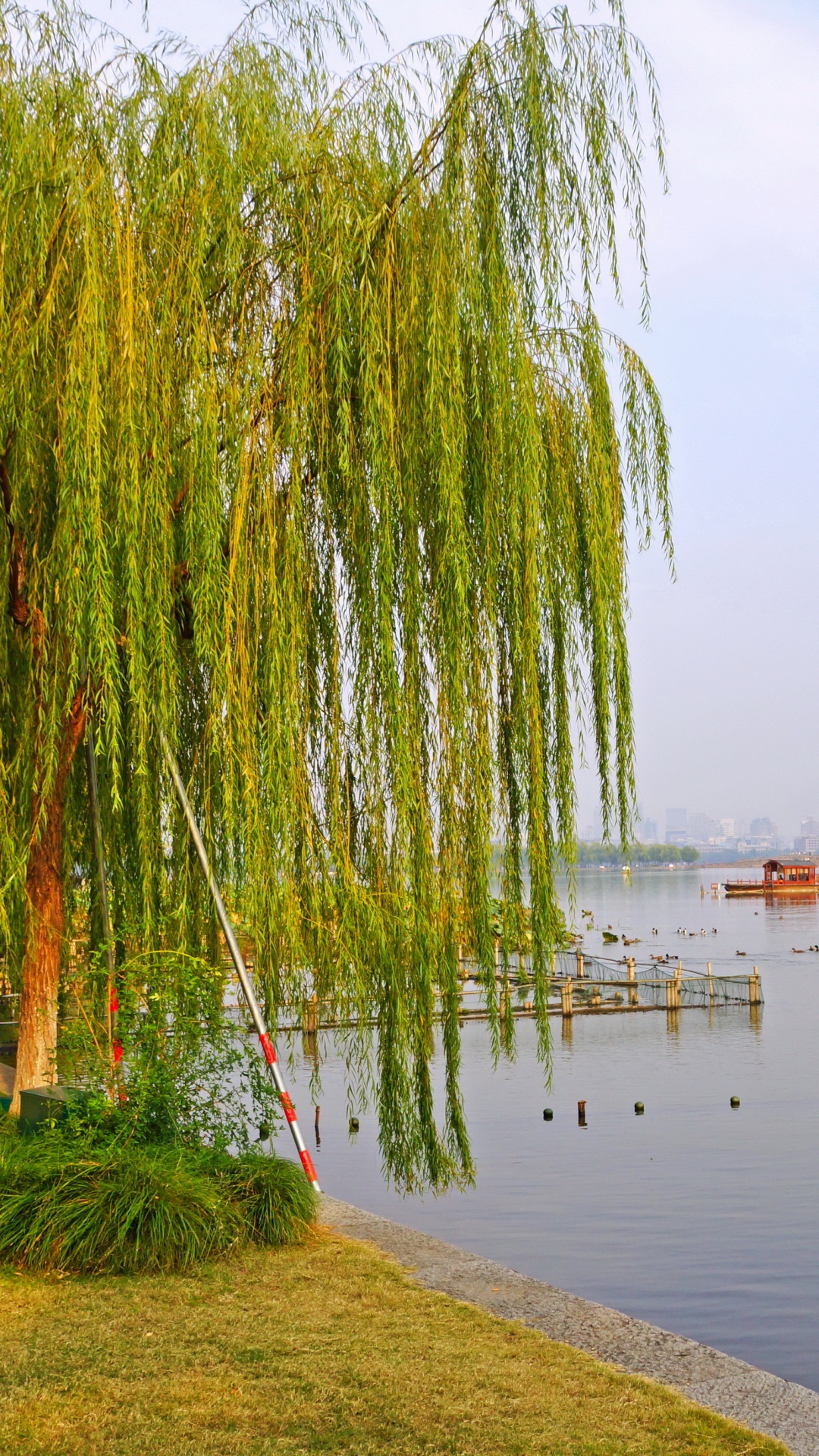 Green Grass Near Body of Water During Daytime. Wallpaper in 1080x1920 Resolution