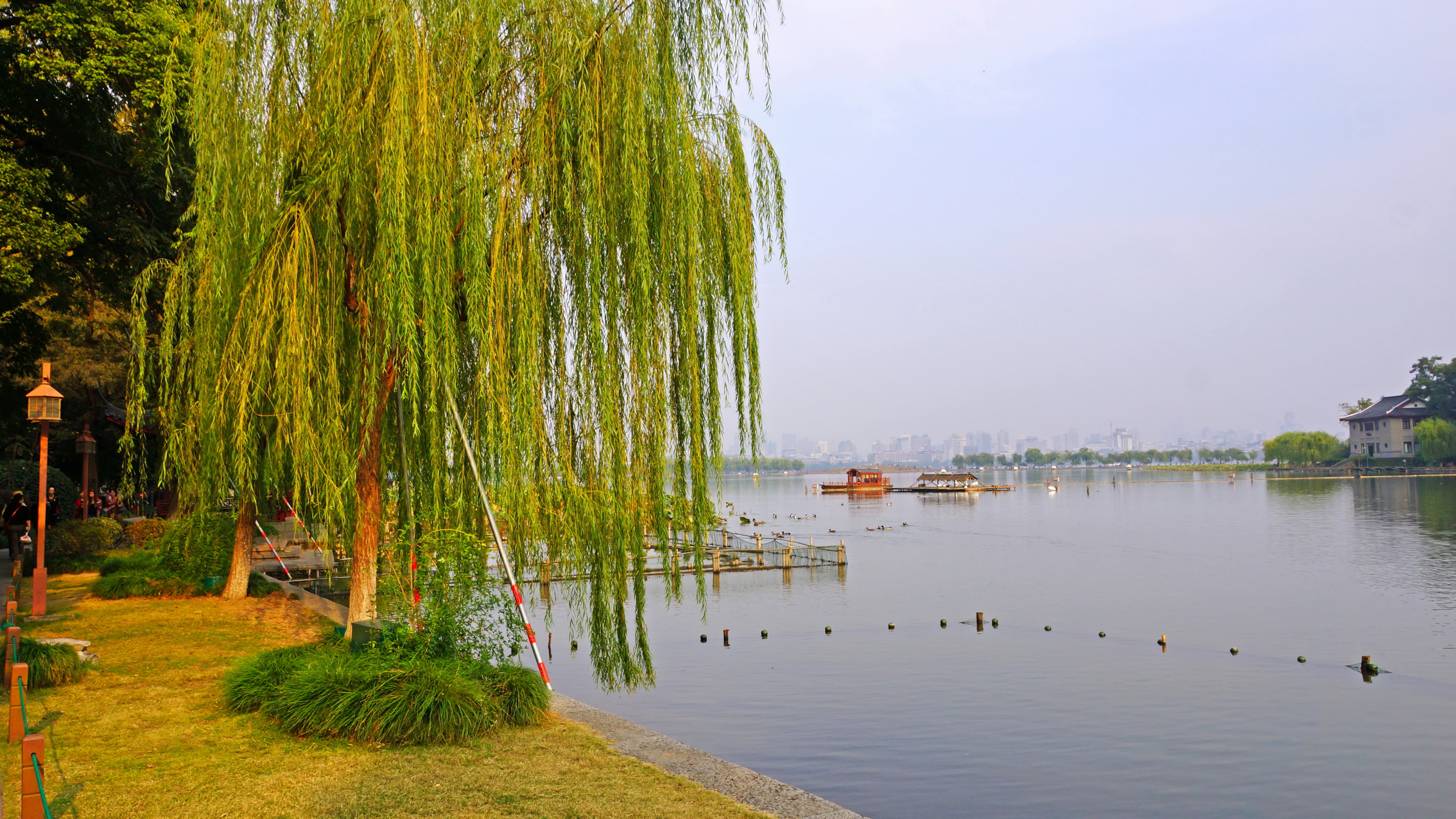 Green Grass Near Body of Water During Daytime. Wallpaper in 3840x2160 Resolution