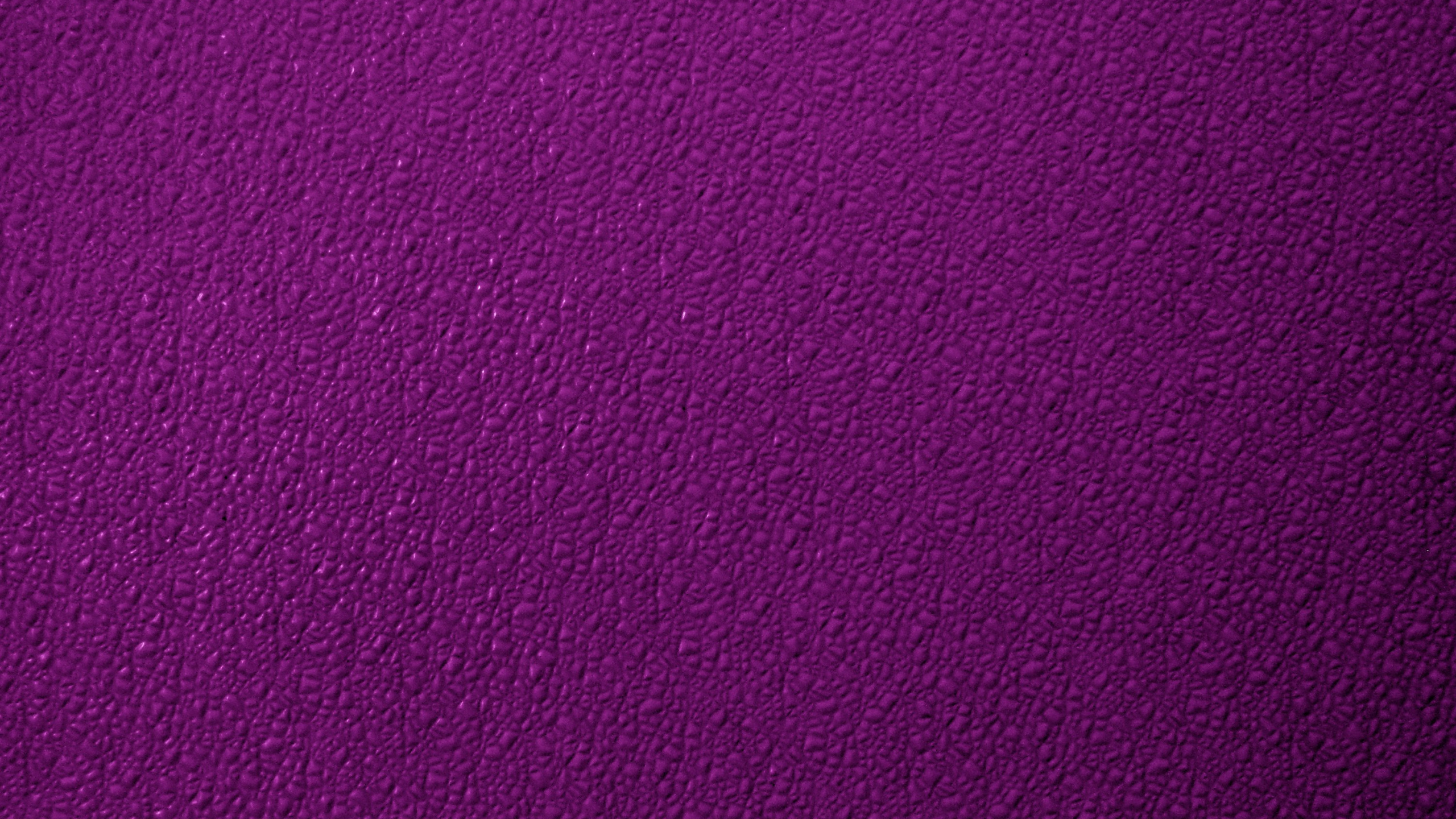 Textile Violet en Gros Plan. Wallpaper in 2560x1440 Resolution