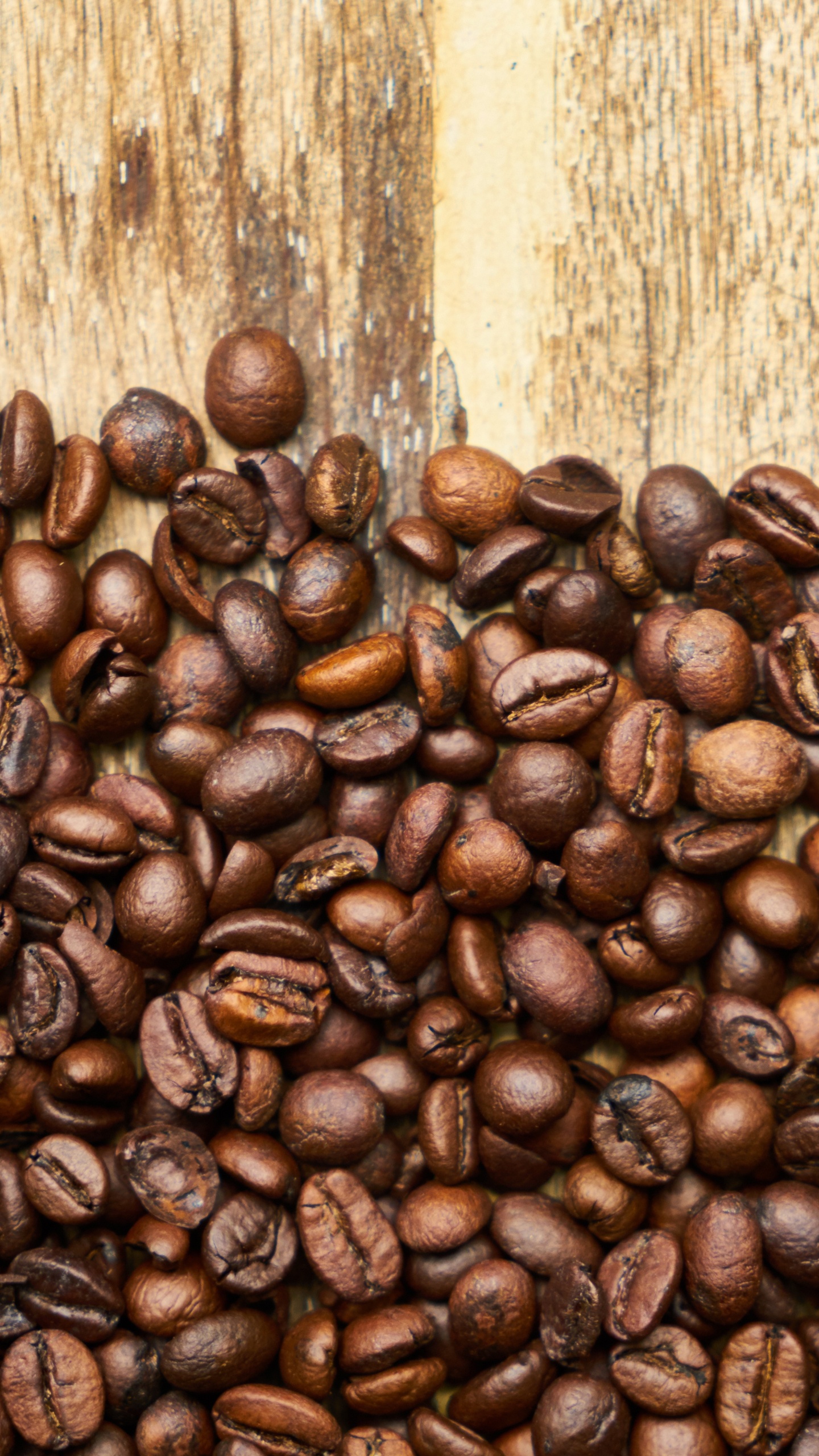 咖啡豆, 科纳咖啡, 牙买加蓝山咖啡, 咖啡因, 棕色 壁纸 1440x2560 允许
