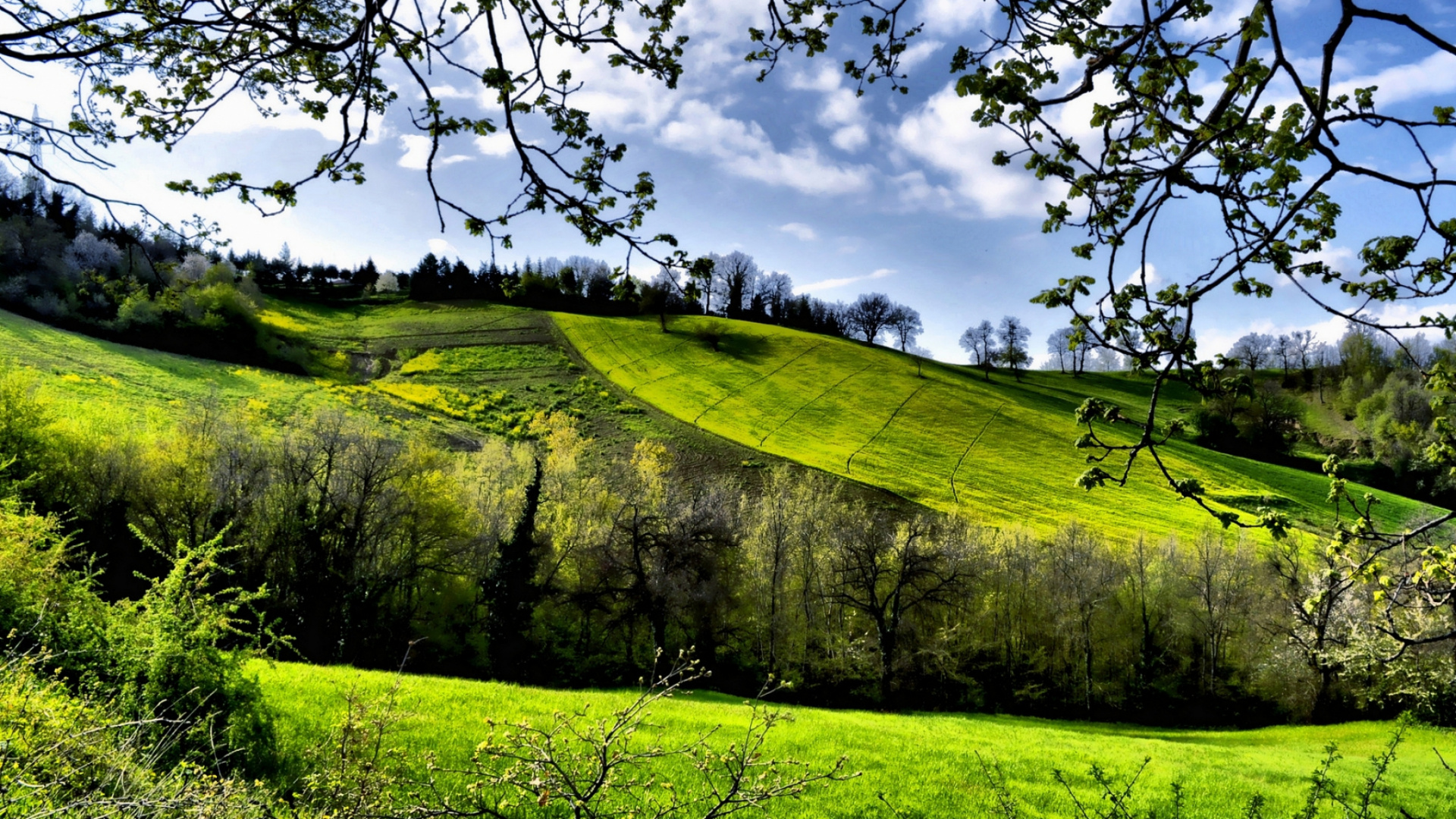 Champ D'herbe Verte Sous Ciel Bleu et Nuages Blancs Pendant la Journée. Wallpaper in 1920x1080 Resolution