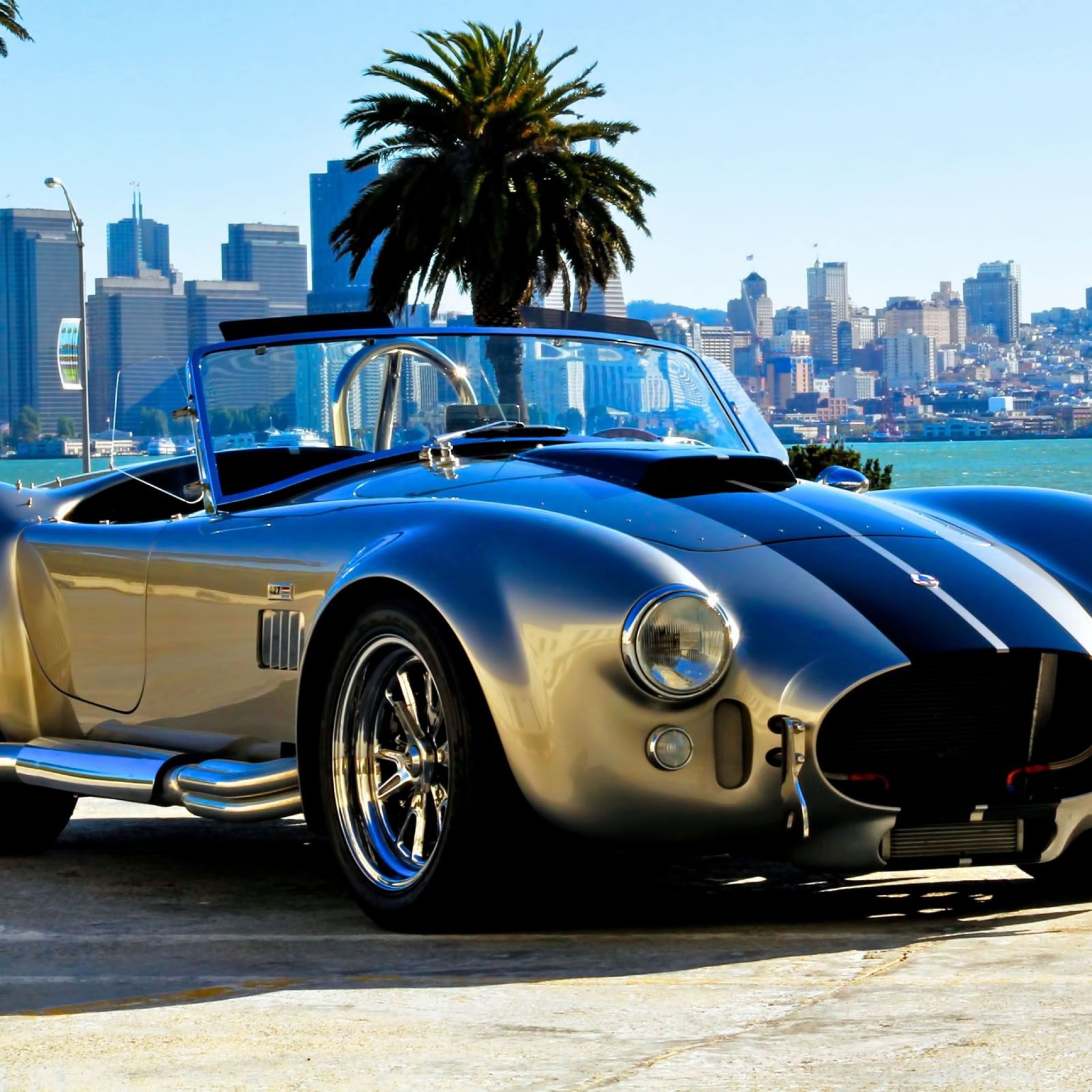 mustang shelby cobra fondo de pantalla