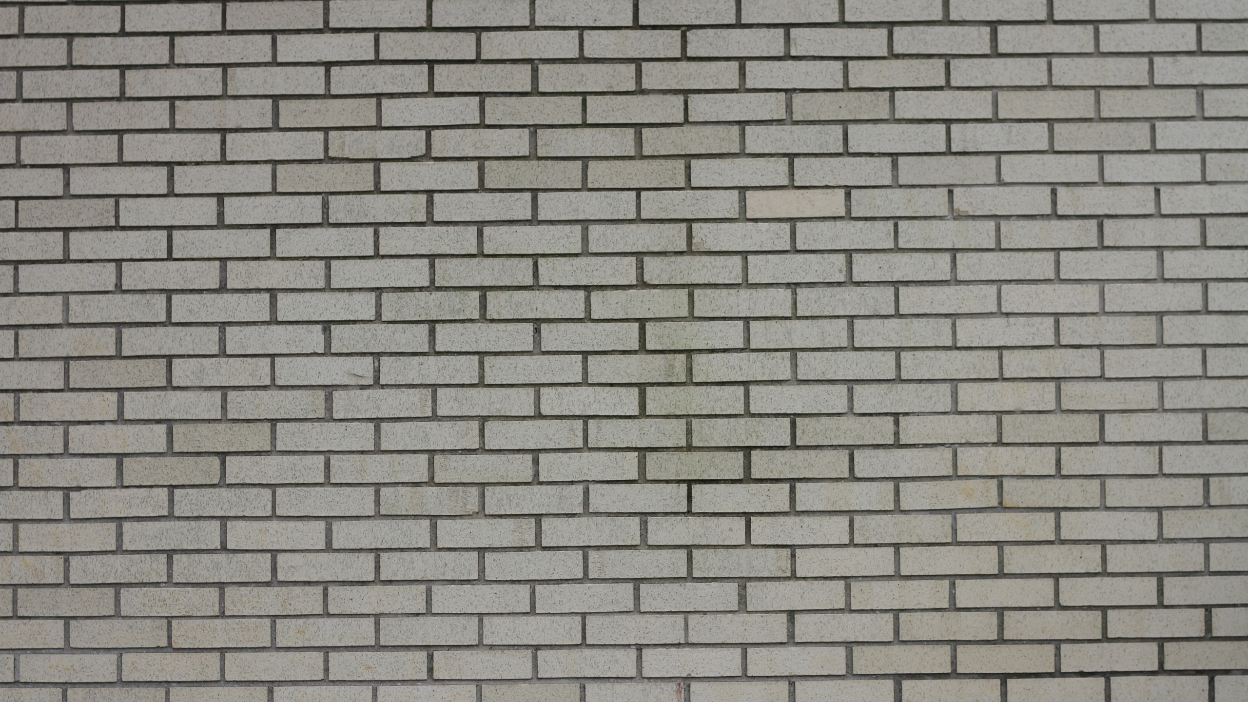 Mur de Briques Brunes et Noires. Wallpaper in 2560x1440 Resolution