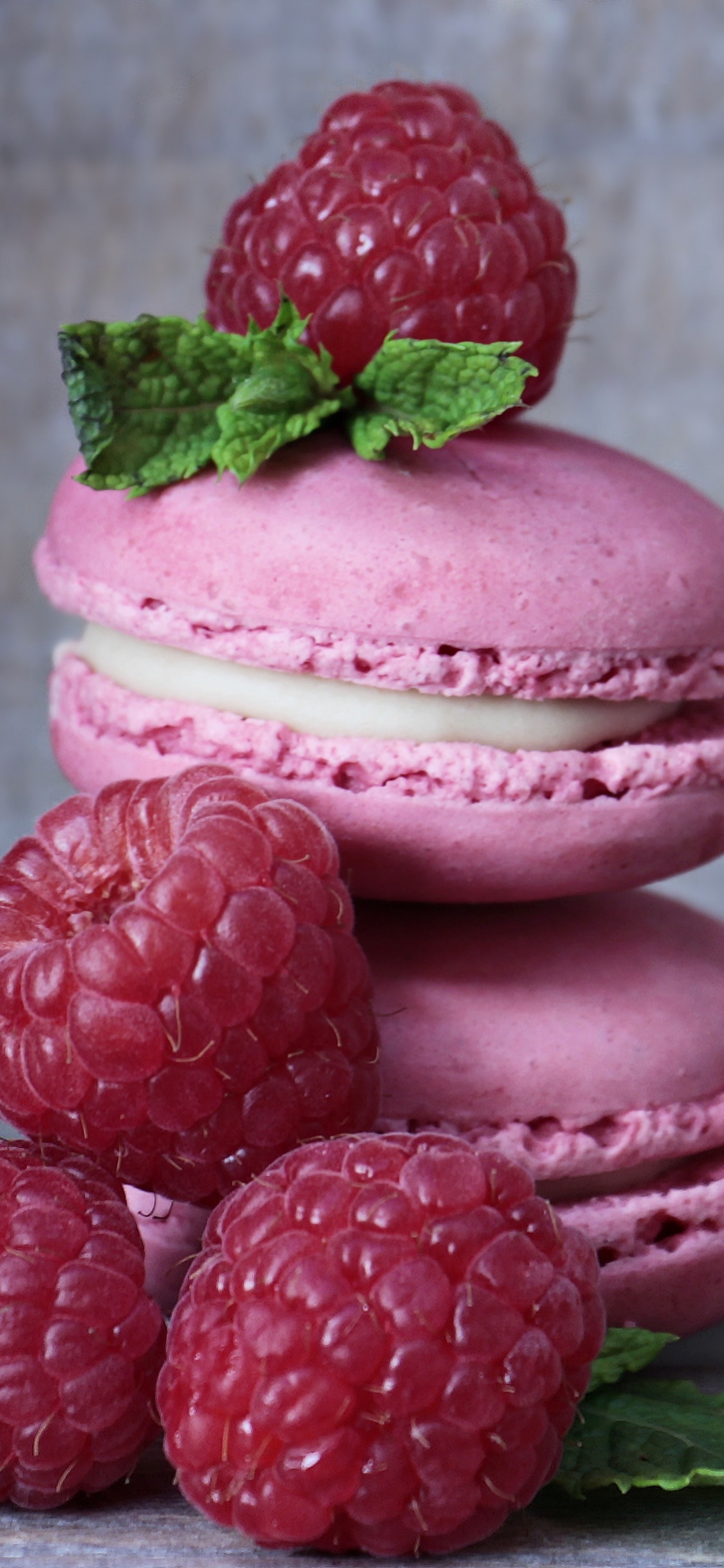 Rote Himbeere Auf Rosa Eis. Wallpaper in 1125x2436 Resolution