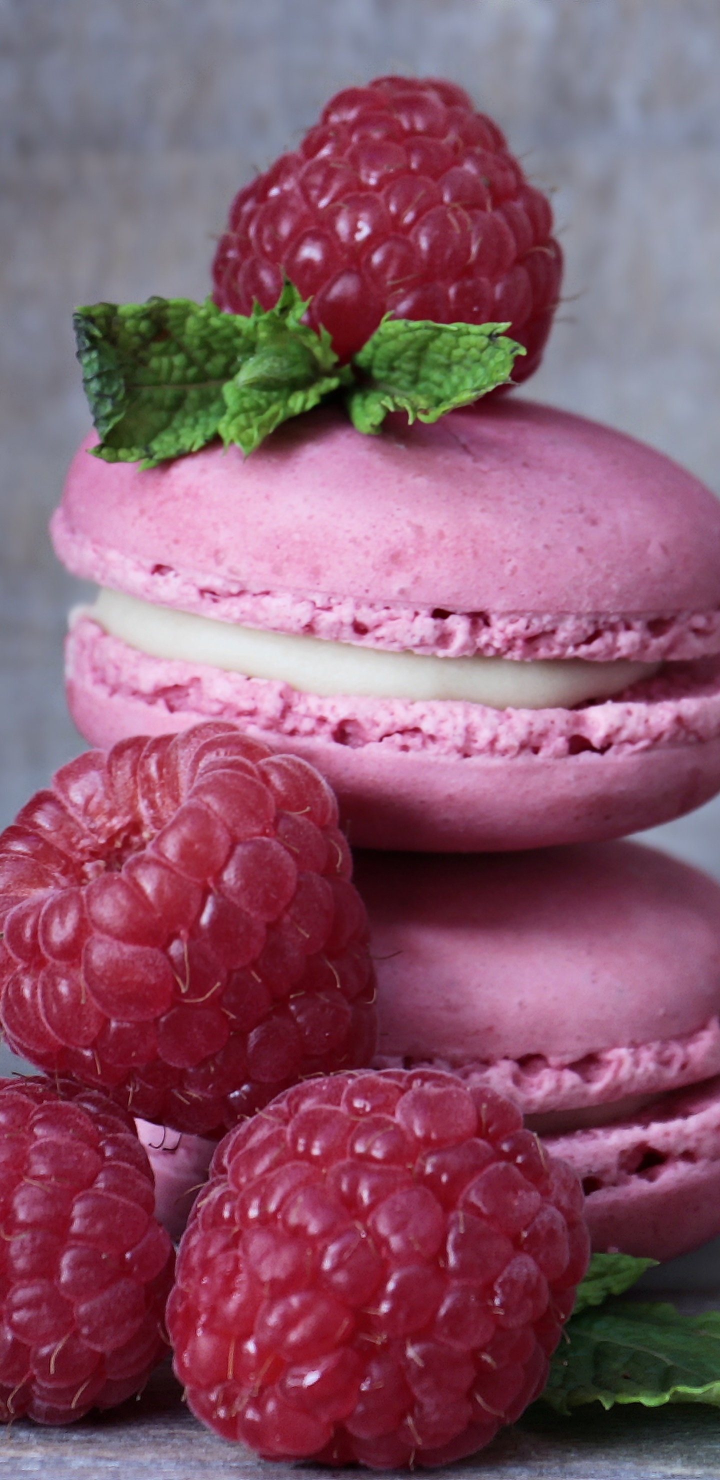 蛋白杏仁饼干, 马卡, 甜点, 树莓, 食品 壁纸 1440x2960 允许