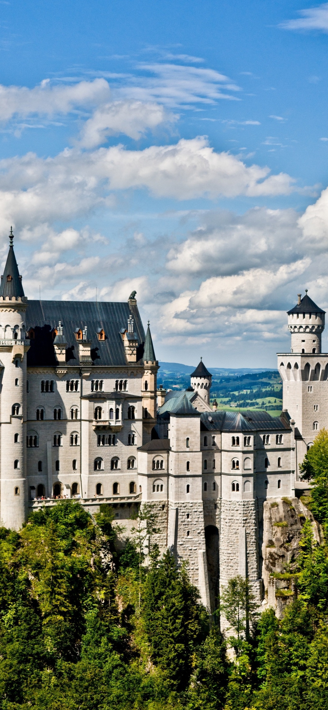 el Castillo de Neuschwanstein, el Castillo de Hohenzollern, Castillo, Naturaleza, Edificio. Wallpaper in 1242x2688 Resolution