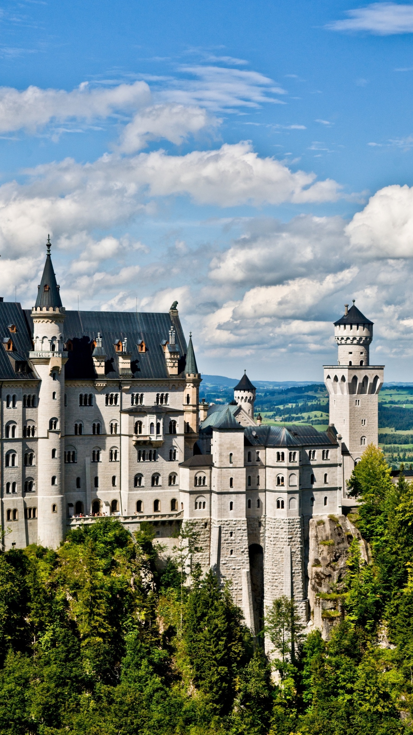 el Castillo de Neuschwanstein, el Castillo de Hohenzollern, Castillo, Naturaleza, Edificio. Wallpaper in 1440x2560 Resolution