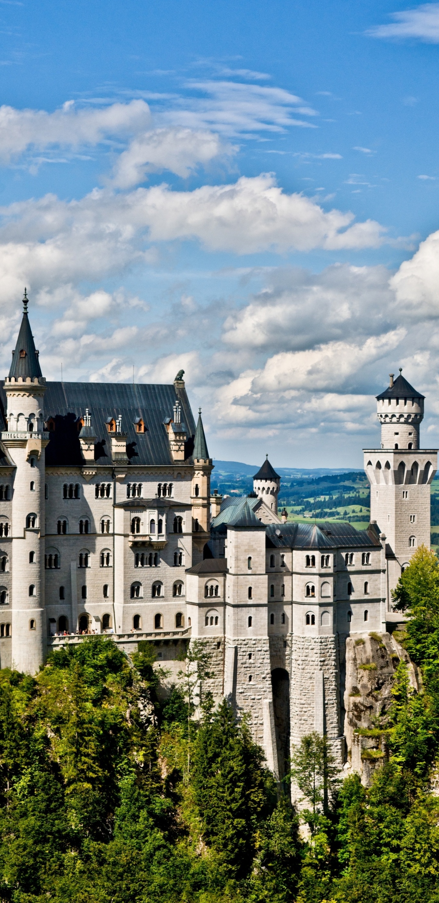 Neuschwanstein, Château de Hohenzollern, Château, Nature, Bâtiment. Wallpaper in 1440x2960 Resolution