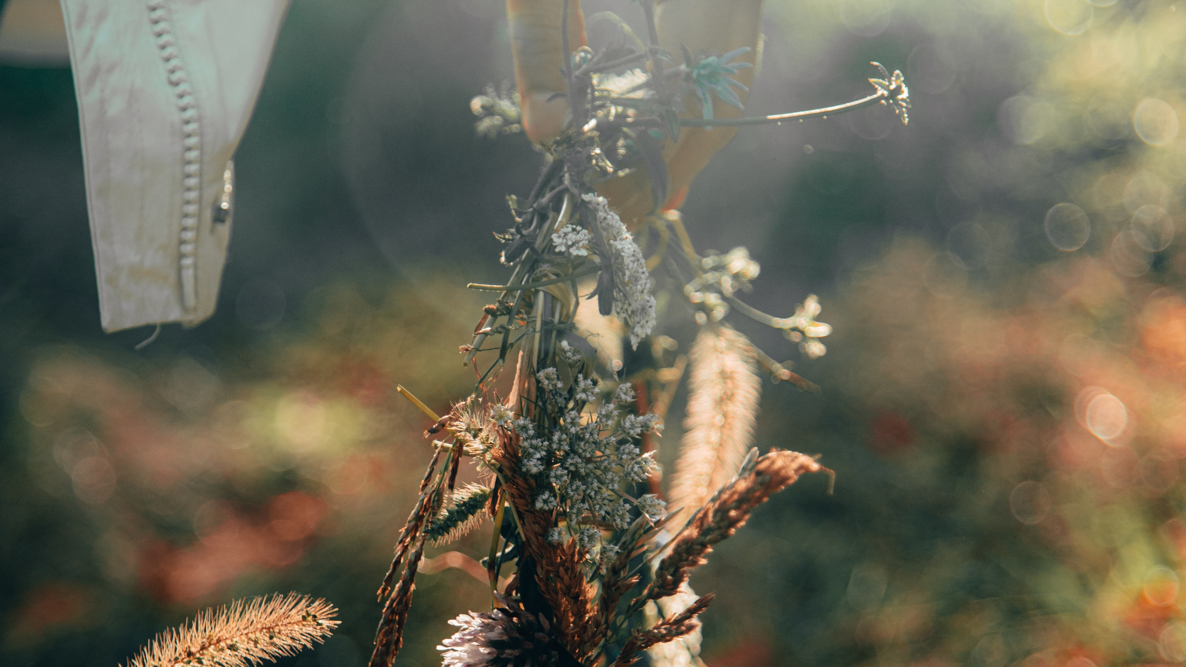 Brown and Green Plant in Tilt Shift Lens. Wallpaper in 3840x2160 Resolution