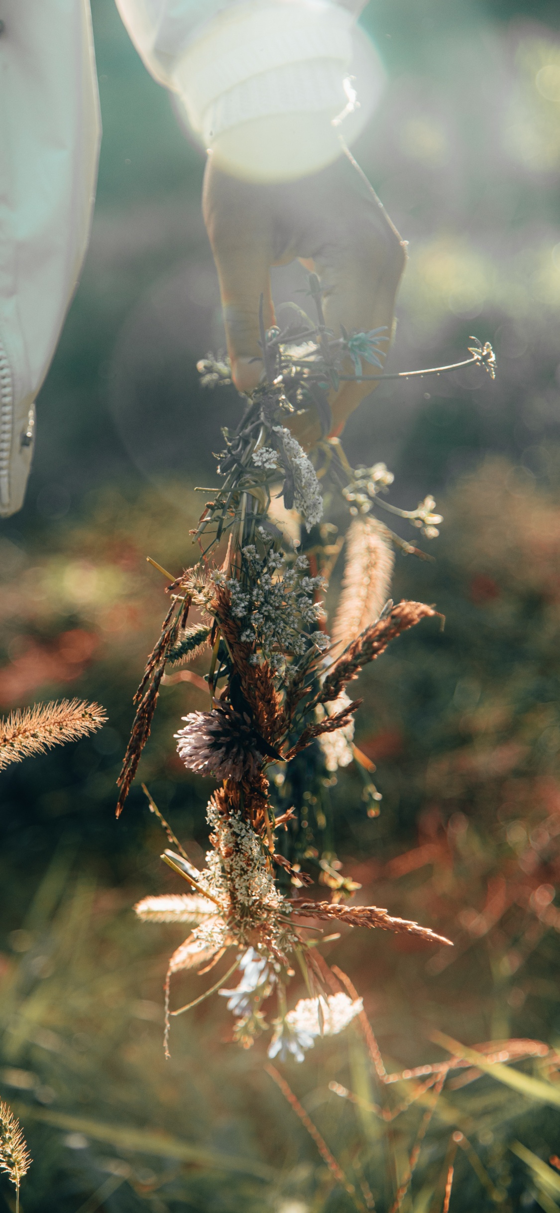 Plante Brune et Verte Dans L'objectif à Basculement. Wallpaper in 1125x2436 Resolution