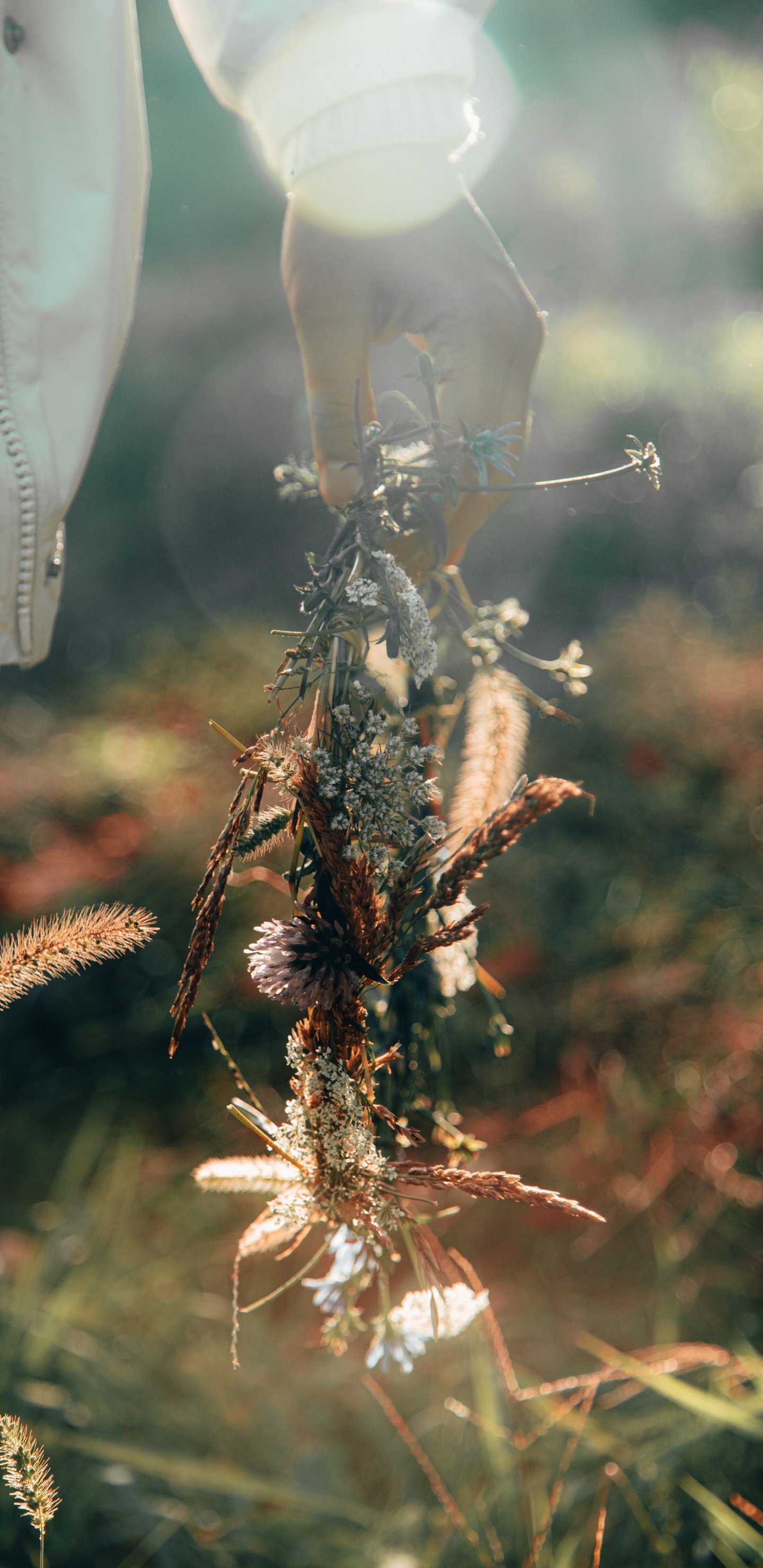 Plante Brune et Verte Dans L'objectif à Basculement. Wallpaper in 1440x2960 Resolution