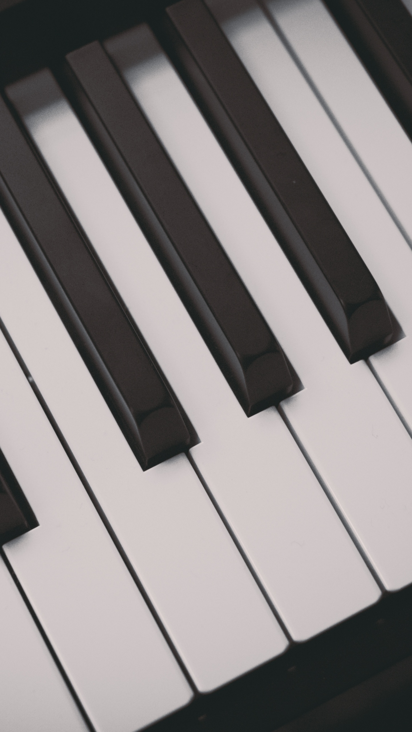 Piano, Keyboard, Player Piano, Musical Instrument, Musical Keyboard. Wallpaper in 1440x2560 Resolution