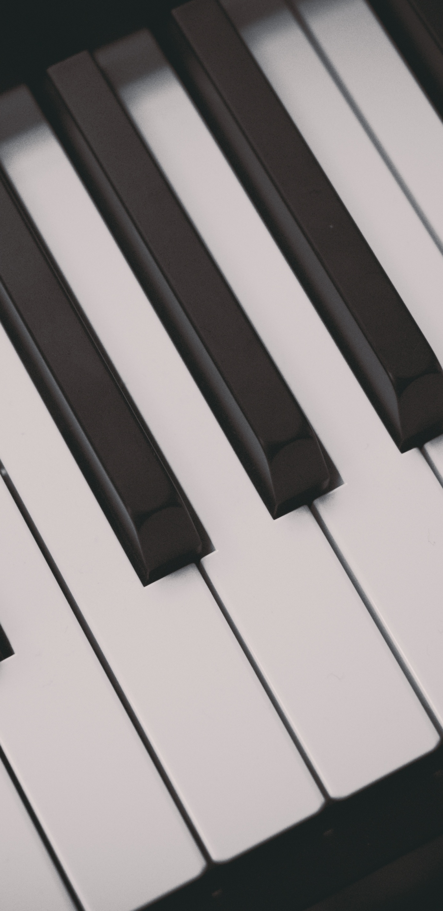 Piano, Keyboard, Player Piano, Musical Instrument, Musical Keyboard. Wallpaper in 1440x2960 Resolution