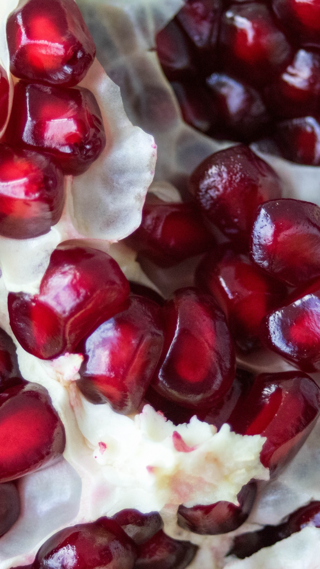 Red and White Round Fruits. Wallpaper in 1080x1920 Resolution