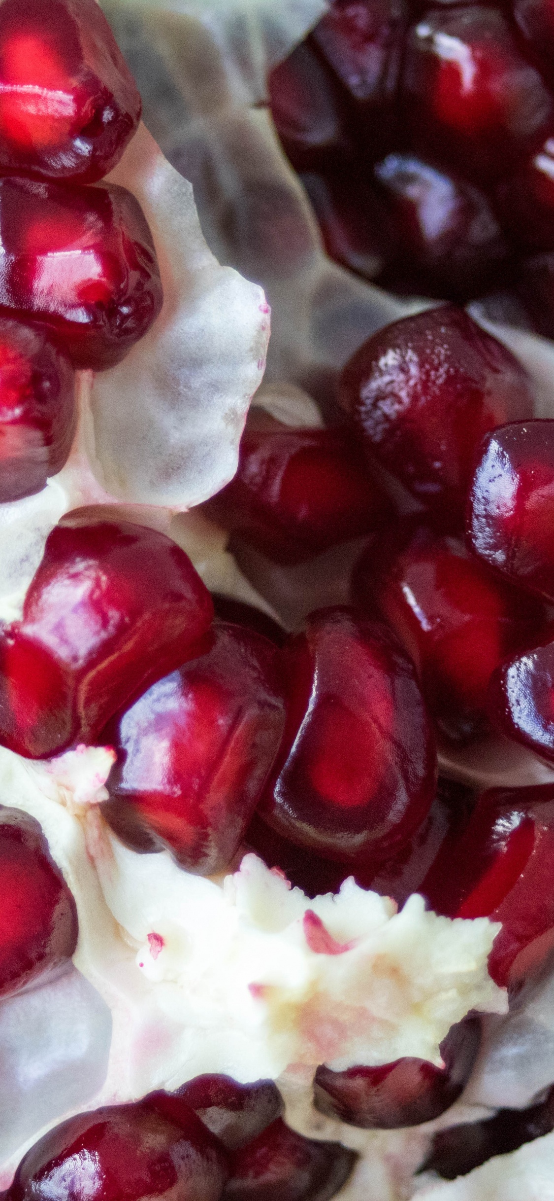 Red and White Round Fruits. Wallpaper in 1125x2436 Resolution