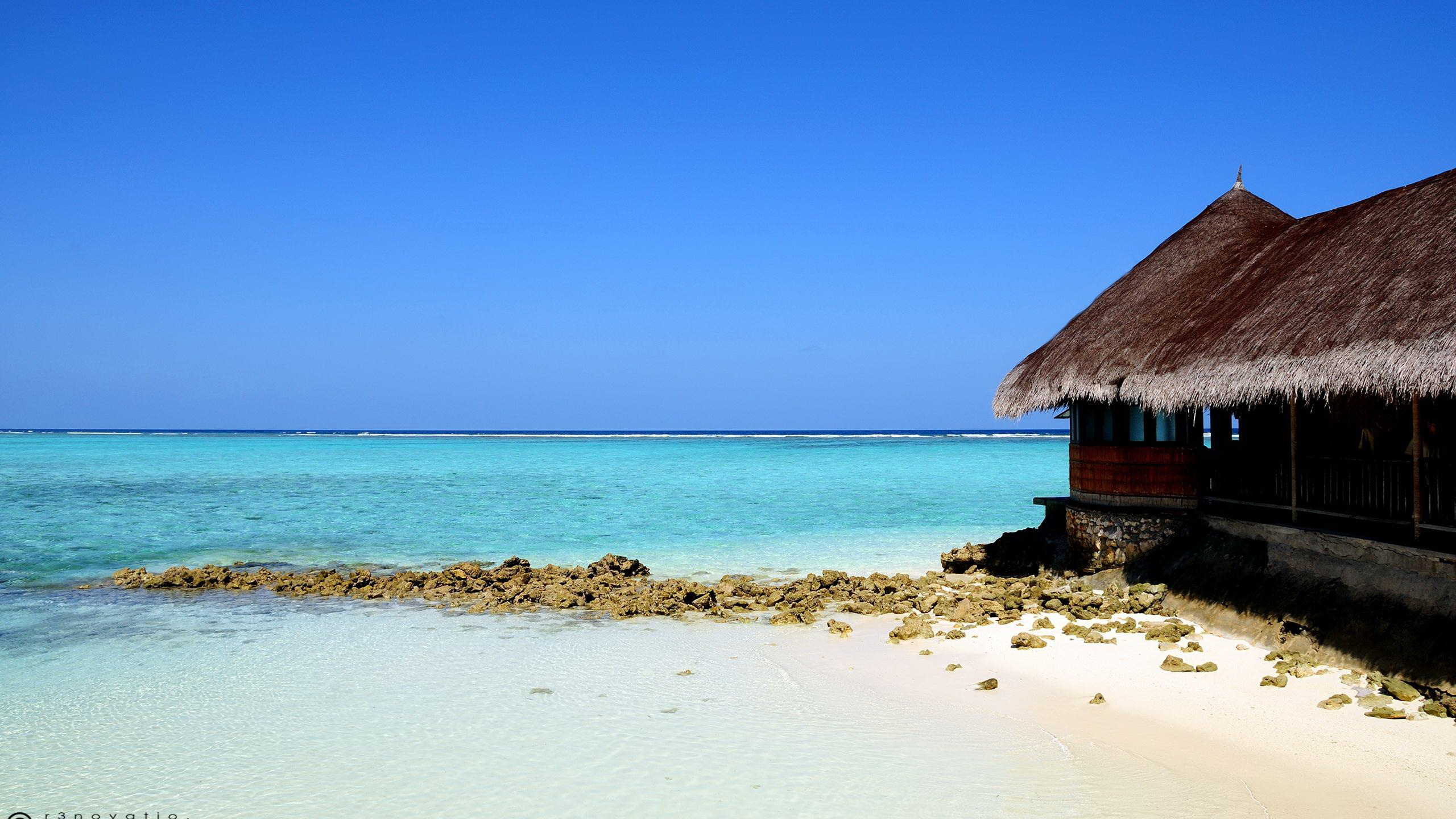 Maison en Bois Brune Sur la Plage Pendant la Journée. Wallpaper in 2560x1440 Resolution