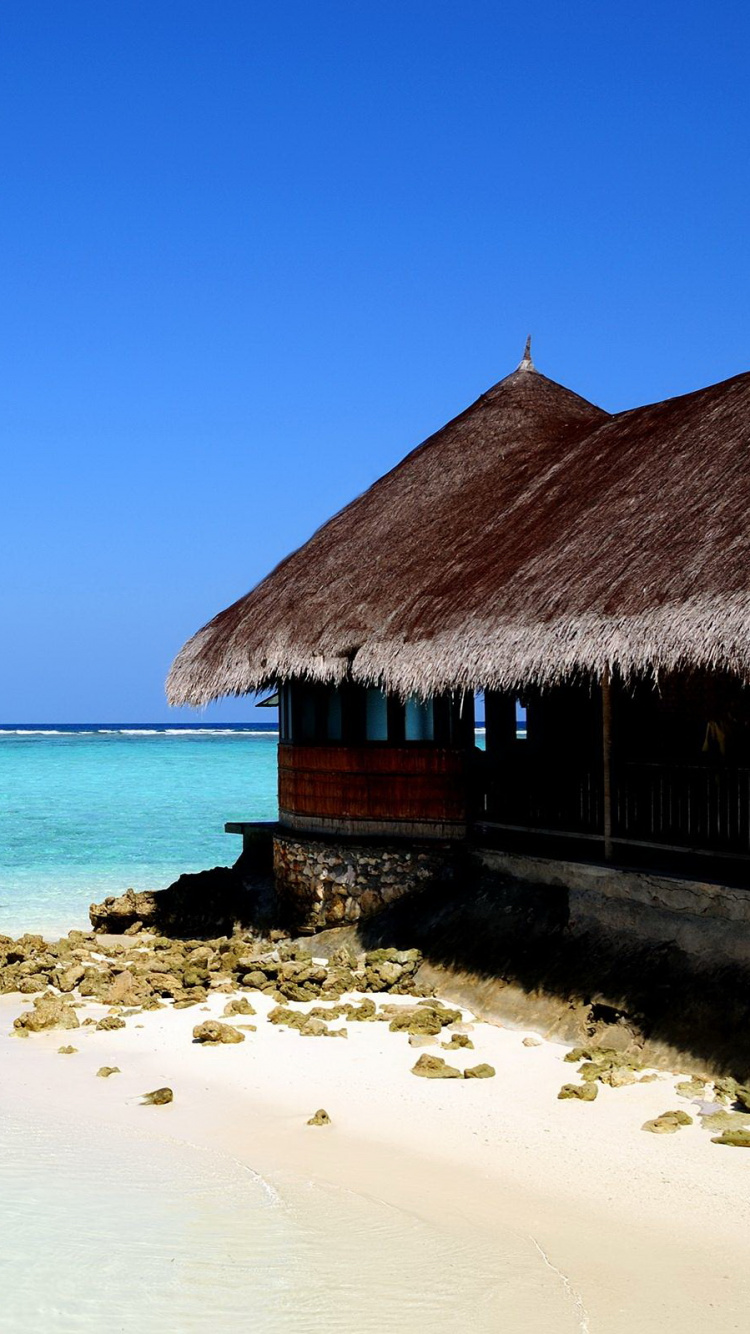 Brown Wooden House on Beach During Daytime. Wallpaper in 750x1334 Resolution