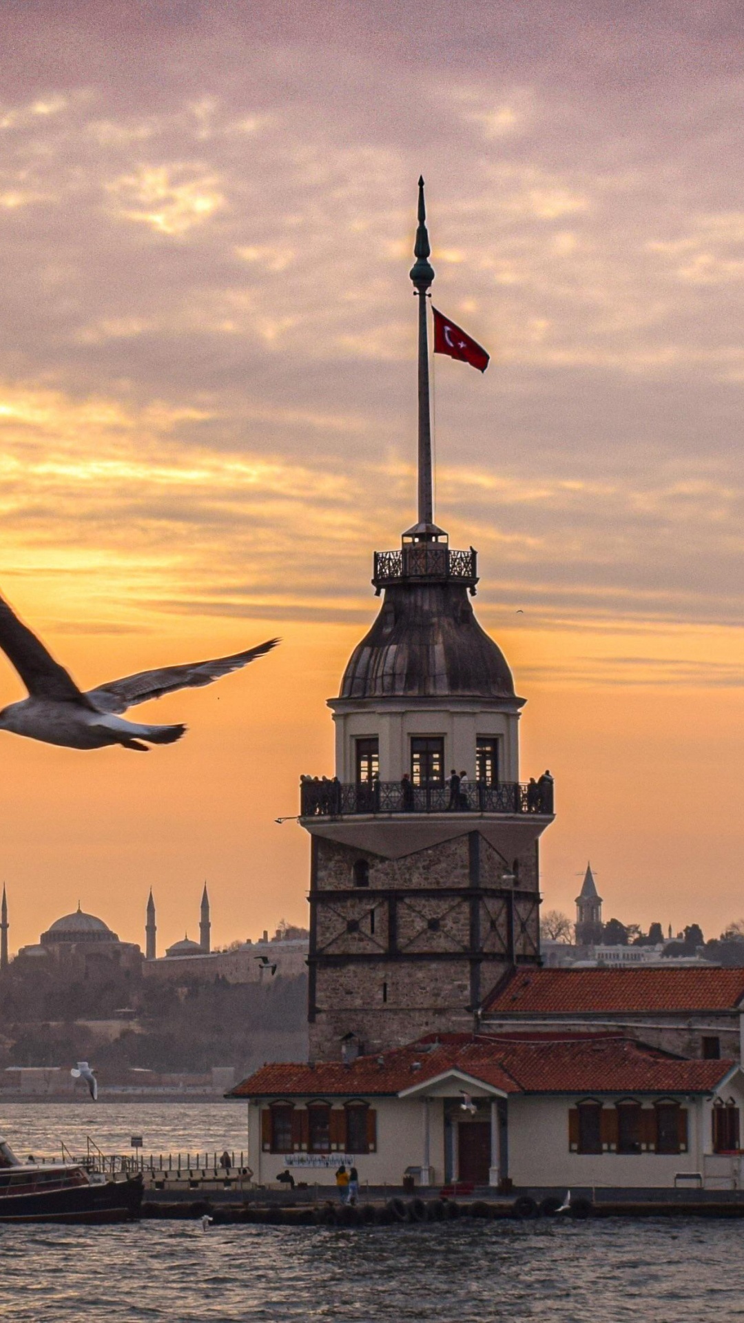 Maidens Tower, Galata Tower, Hidirlik Tower, Tower, Sea of Marmara. Wallpaper in 1080x1920 Resolution