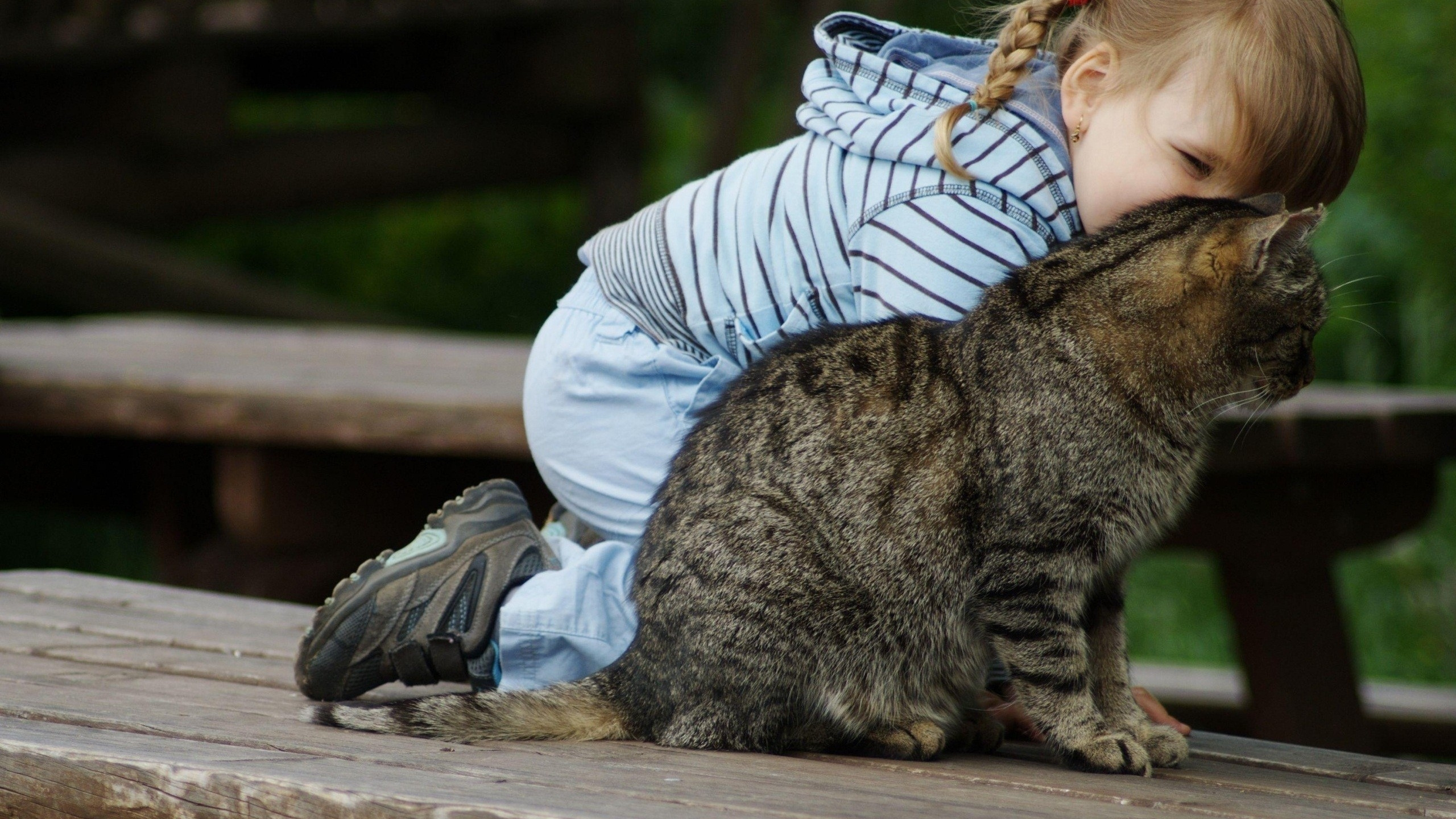 Woman in White and Black Striped Long Sleeve Shirt Holding Brown Tabby Cat. Wallpaper in 2560x1440 Resolution