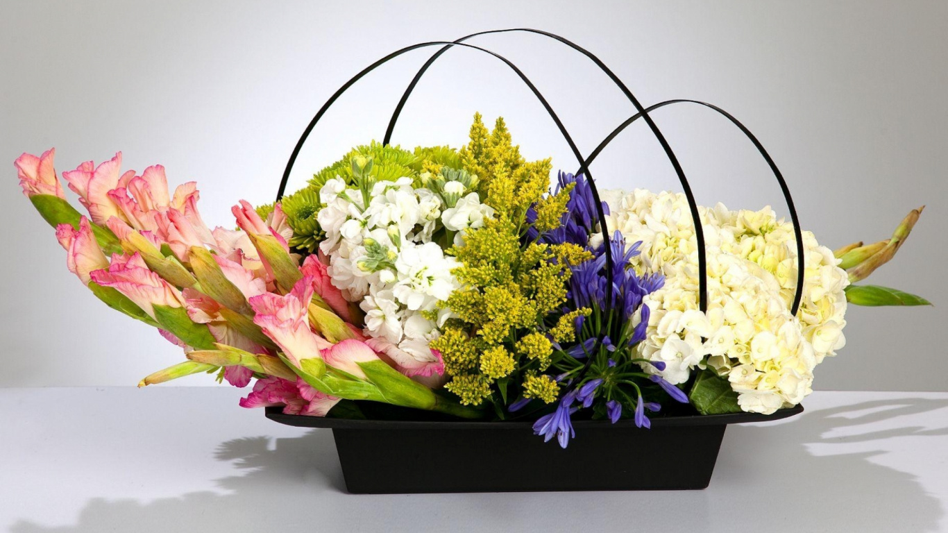 White and Purple Flowers in Black Pot. Wallpaper in 1366x768 Resolution