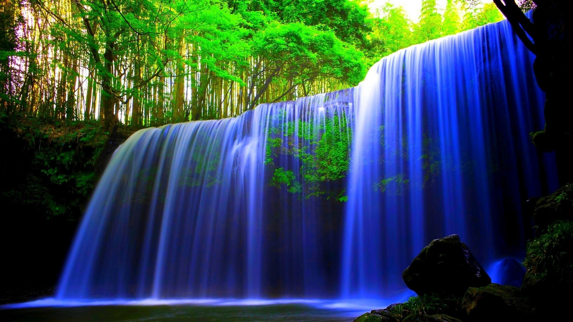 el Agua Cae en Medio Del Bosque. Wallpaper in 1920x1080 Resolution