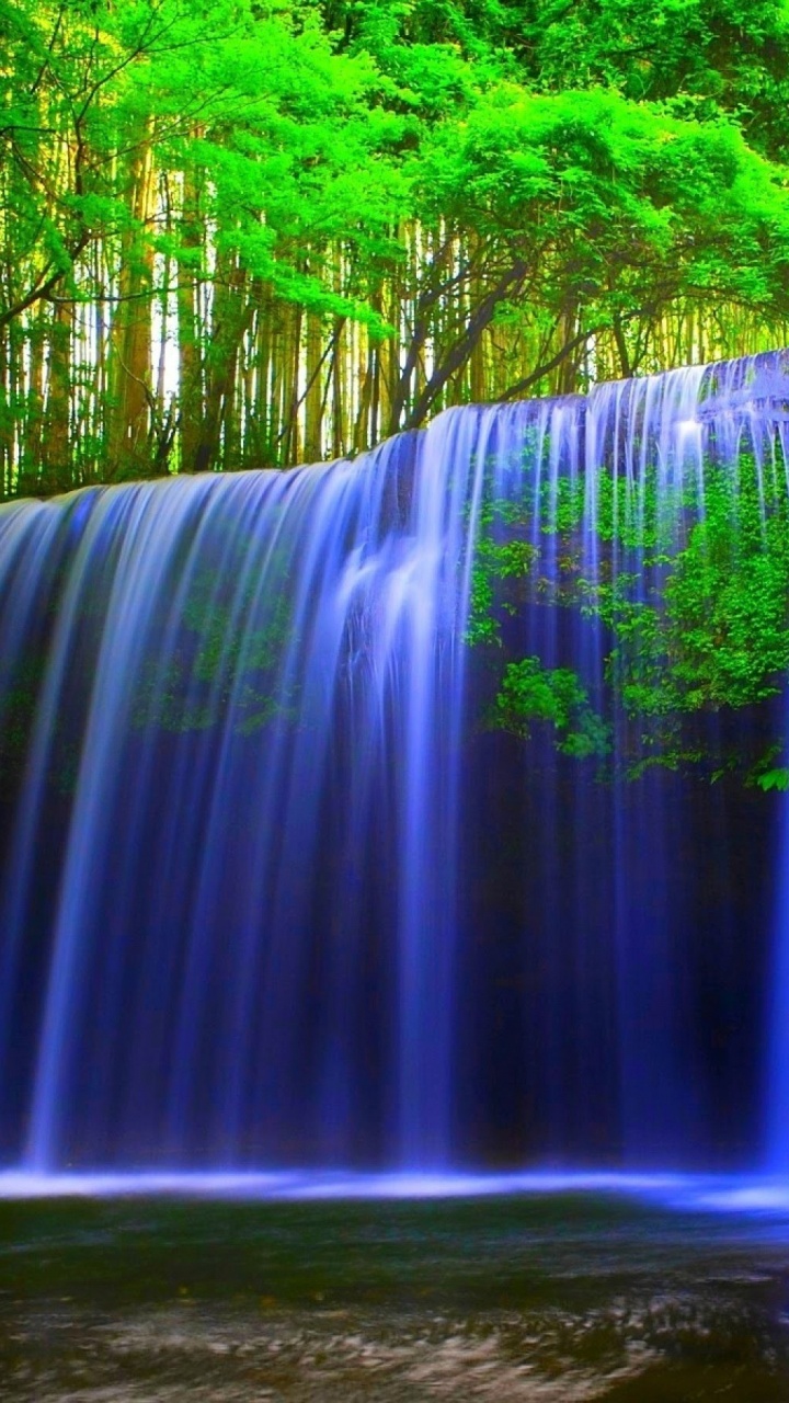el Agua Cae en Medio Del Bosque. Wallpaper in 720x1280 Resolution