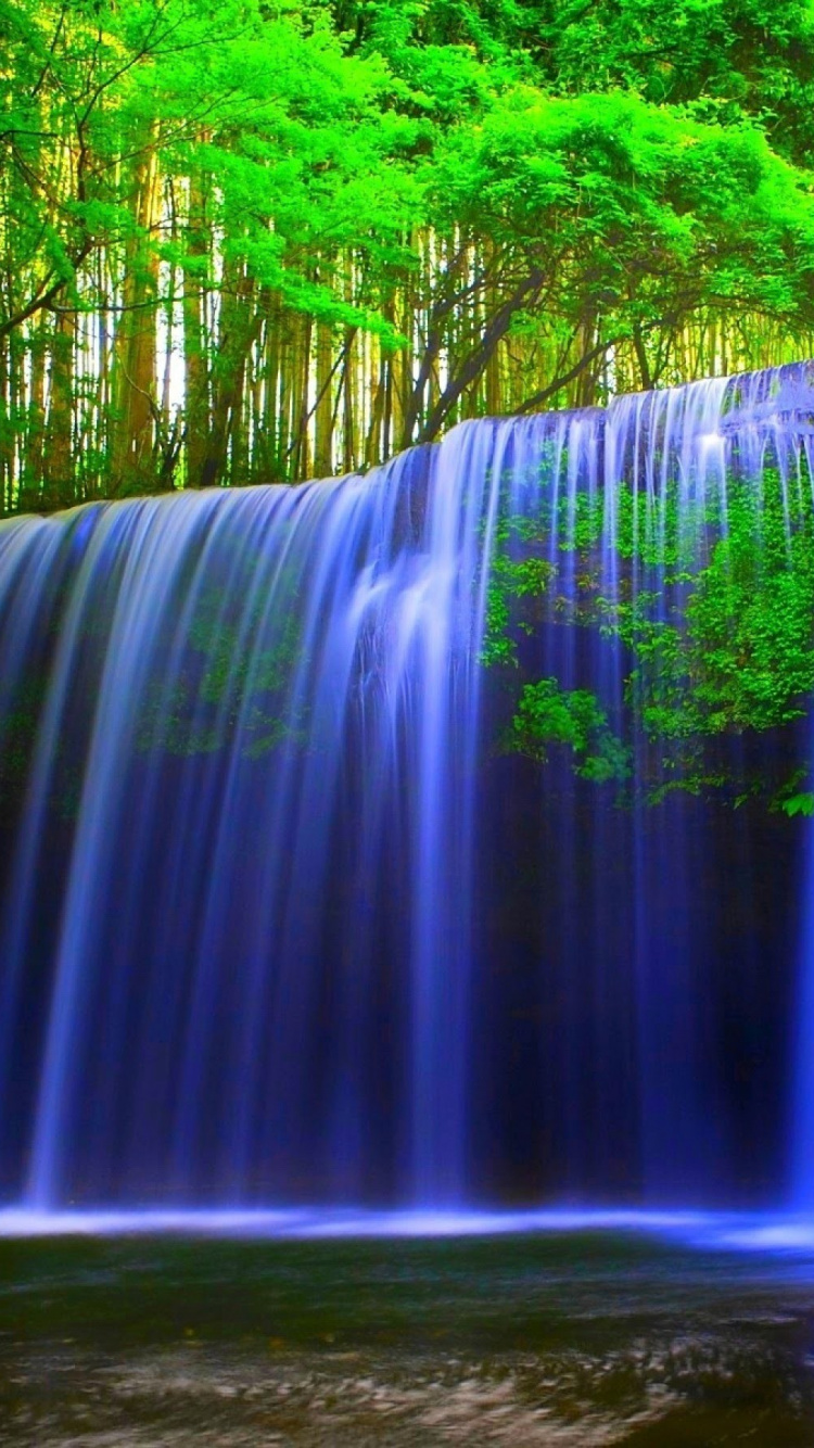 el Agua Cae en Medio Del Bosque. Wallpaper in 750x1334 Resolution