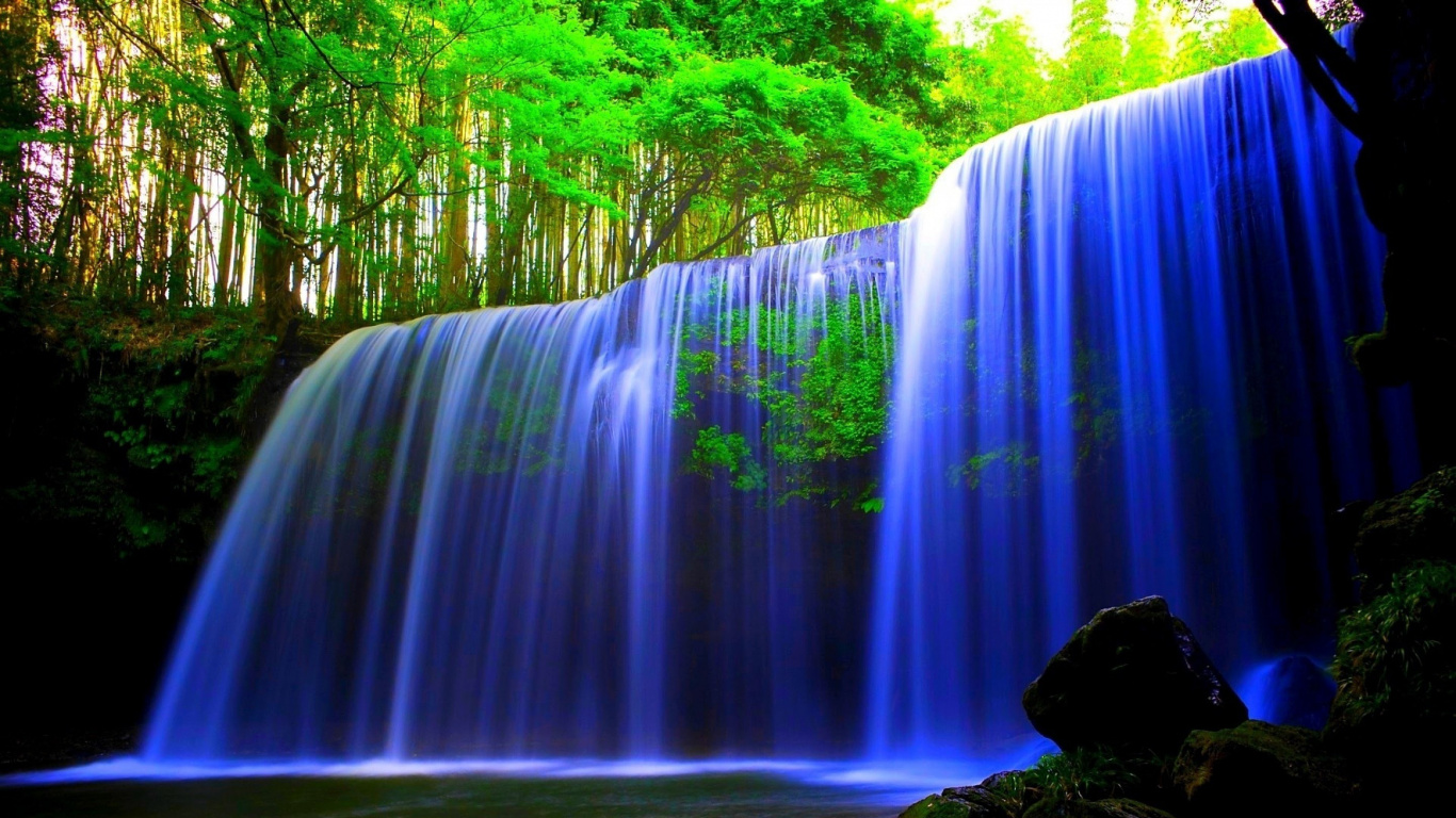 L'eau Tombe au Milieu de la Forêt. Wallpaper in 1366x768 Resolution