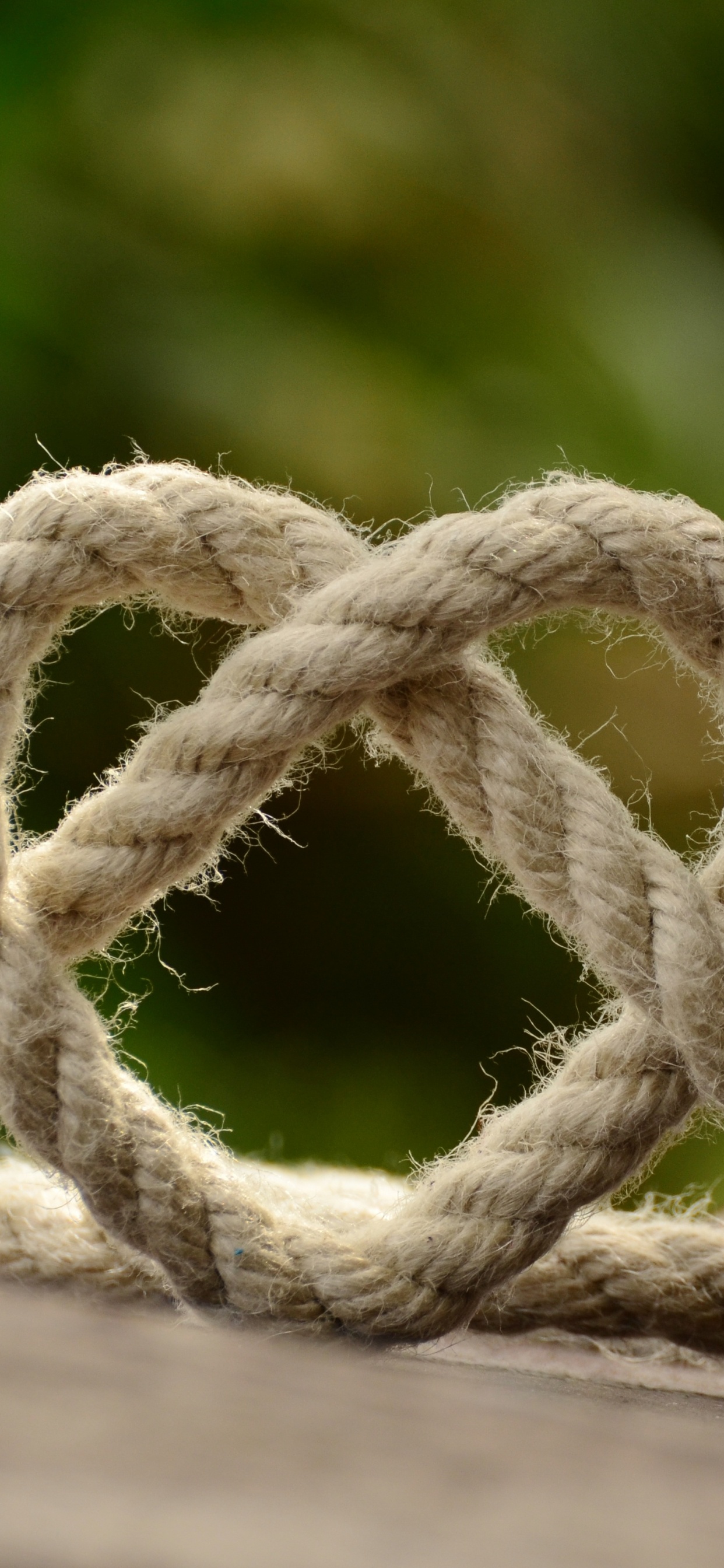 Nudo, Cuerda, Madera, Zapato, Accesorio de Hardware. Wallpaper in 1242x2688 Resolution