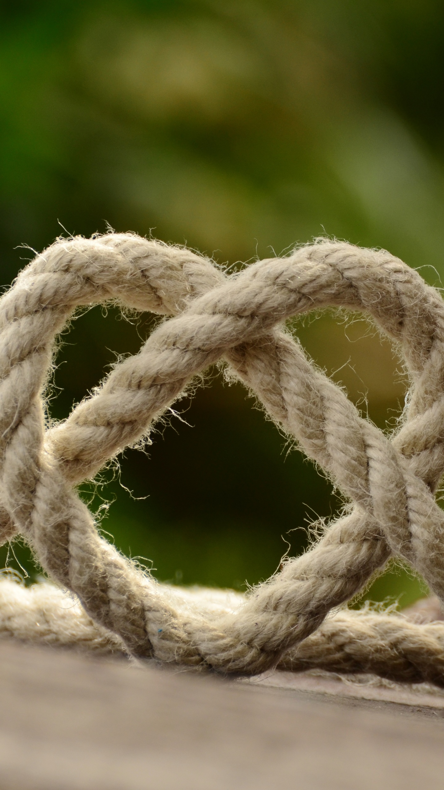 Knot, Rope, Wood, Shoe, Hardware Accessory. Wallpaper in 1440x2560 Resolution