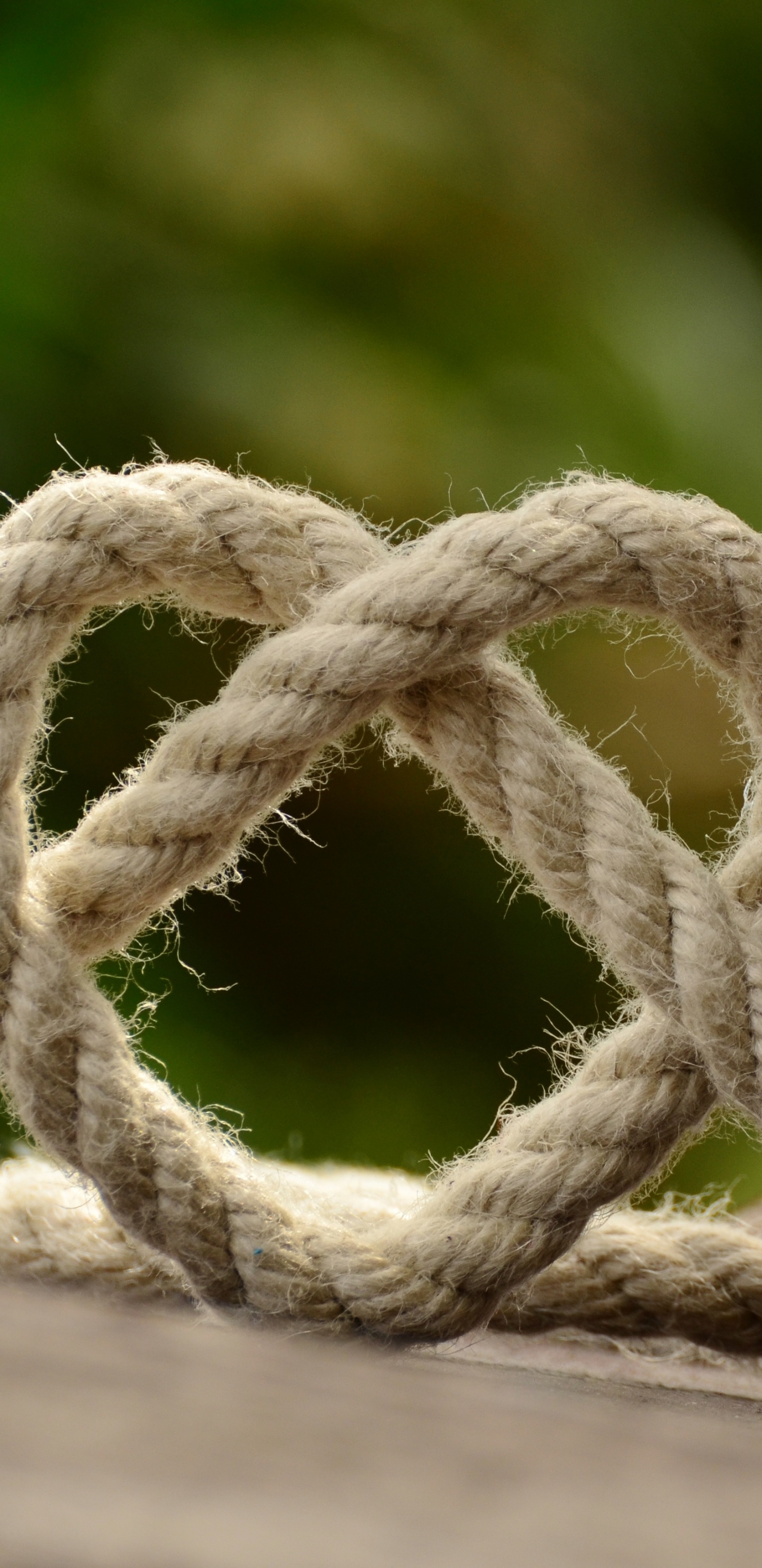 Knot, Rope, Wood, Shoe, Hardware Accessory. Wallpaper in 1440x2960 Resolution