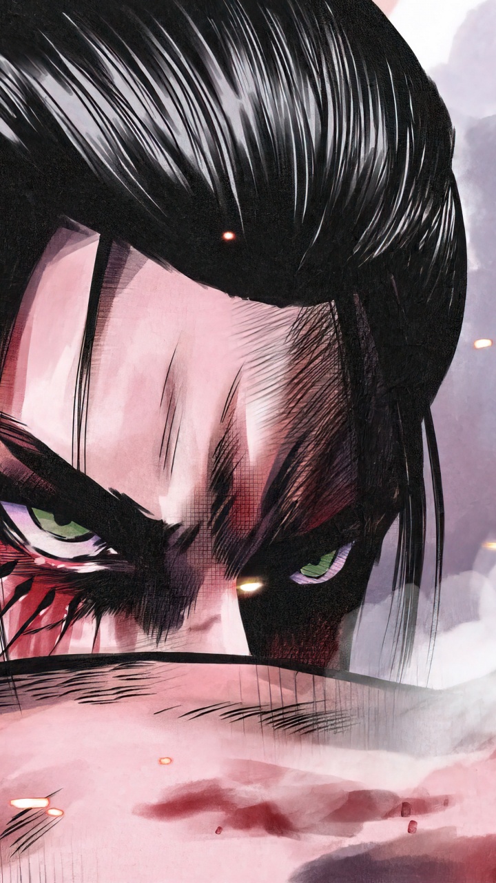 Eren Yeager, 笠阿克曼, 攻击的巨人, 海报, 眉毛 壁纸 720x1280 允许