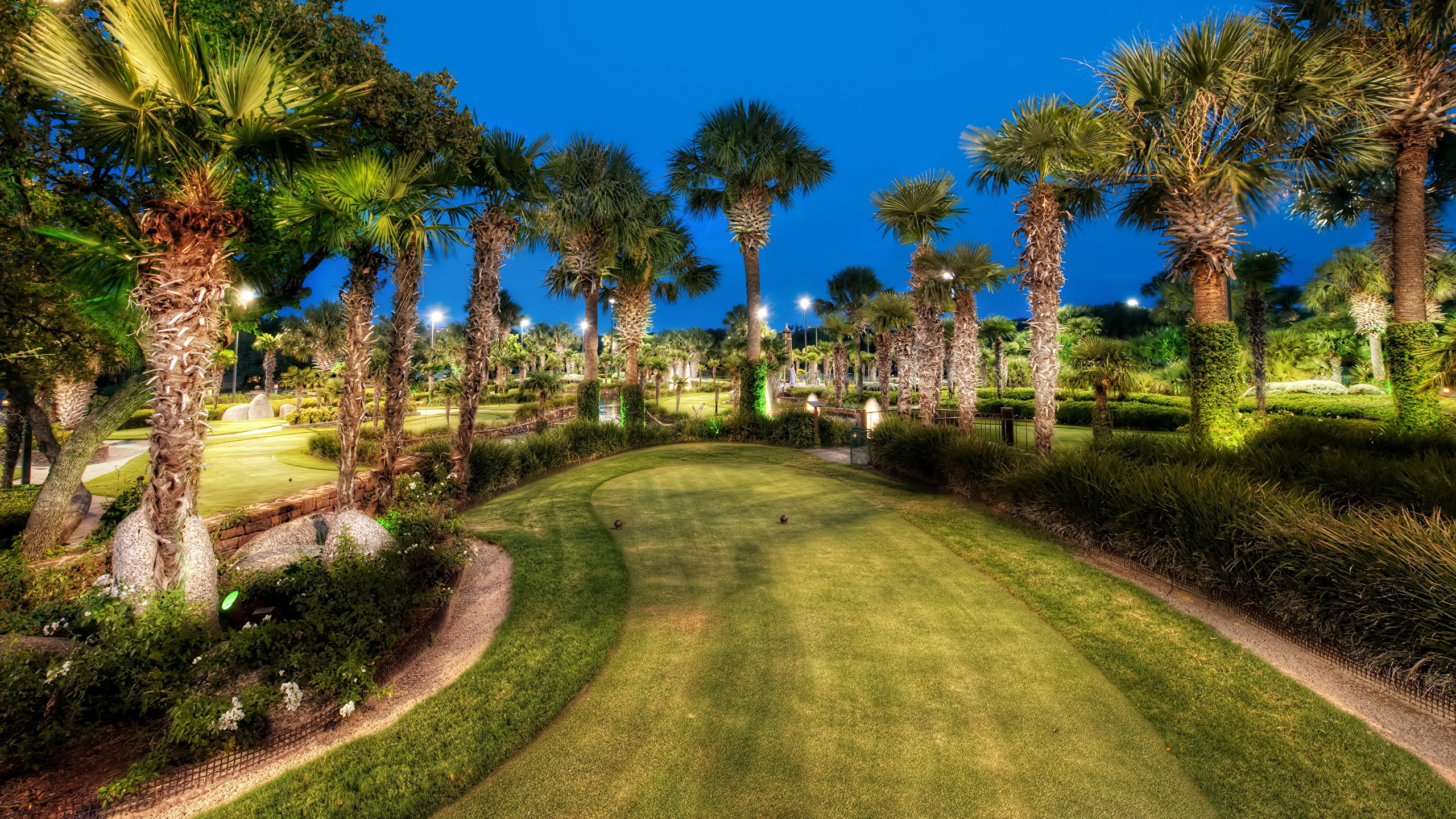 性质, 工厂, 房地产, 天空, Arecales 壁纸 2560x1440 允许