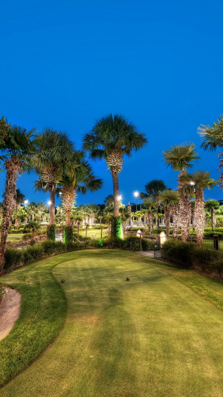 性质, 工厂, 房地产, 天空, Arecales 壁纸 750x1334 允许