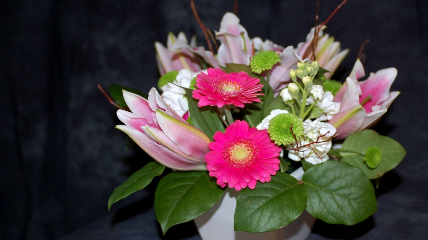 Pink and White Flower in Close up Photography. Wallpaper in 1366x768 Resolution