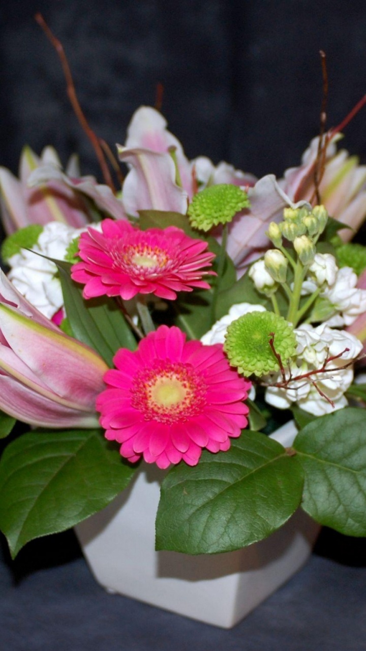 Pink and White Flower in Close up Photography. Wallpaper in 720x1280 Resolution