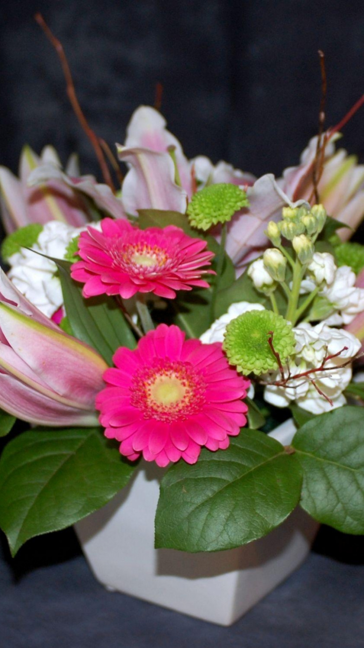 Pink and White Flower in Close up Photography. Wallpaper in 750x1334 Resolution