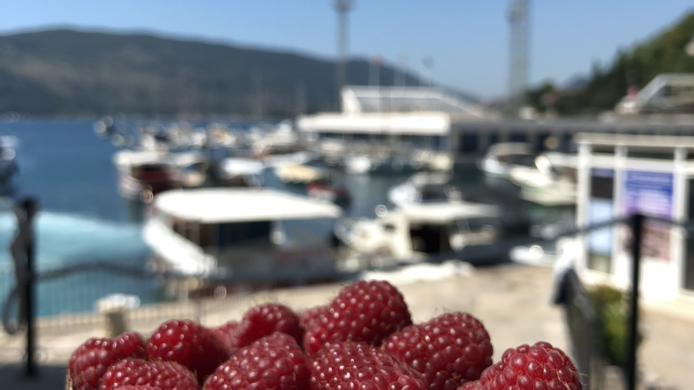 Fruit, Food, Natural Foods, Produce, Boysenberry. Wallpaper in 1366x768 Resolution