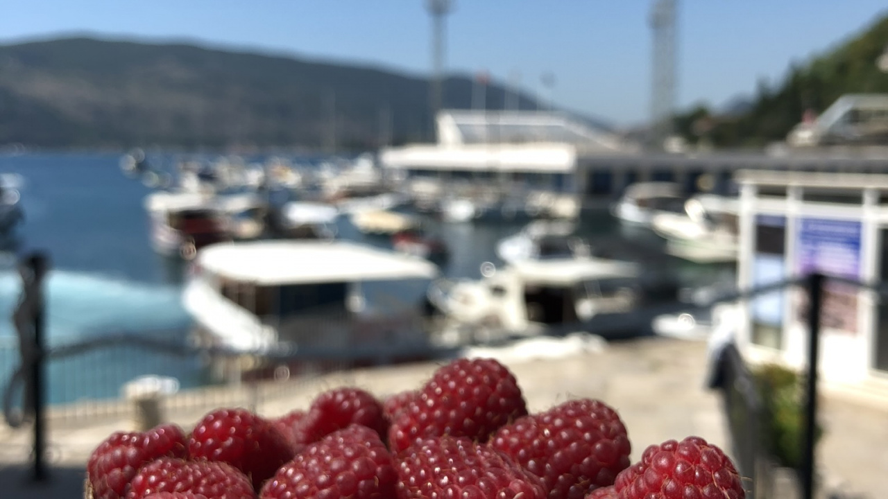 Lebensmittel, Natürliche Lebensmittel, Zutaten, Boysenberry, Wasserfahrzeug. Wallpaper in 1280x720 Resolution