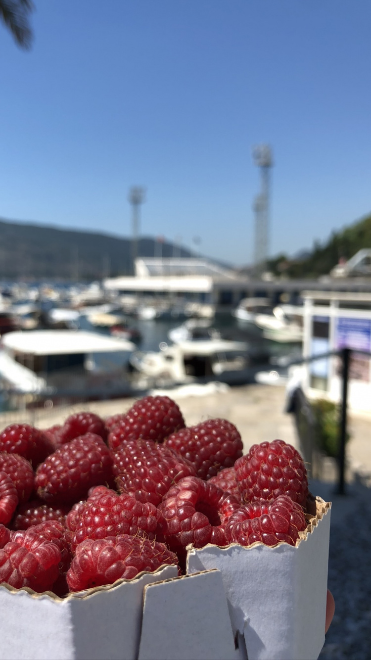 Lebensmittel, Natürliche Lebensmittel, Zutaten, Boysenberry, Wasserfahrzeug. Wallpaper in 750x1334 Resolution