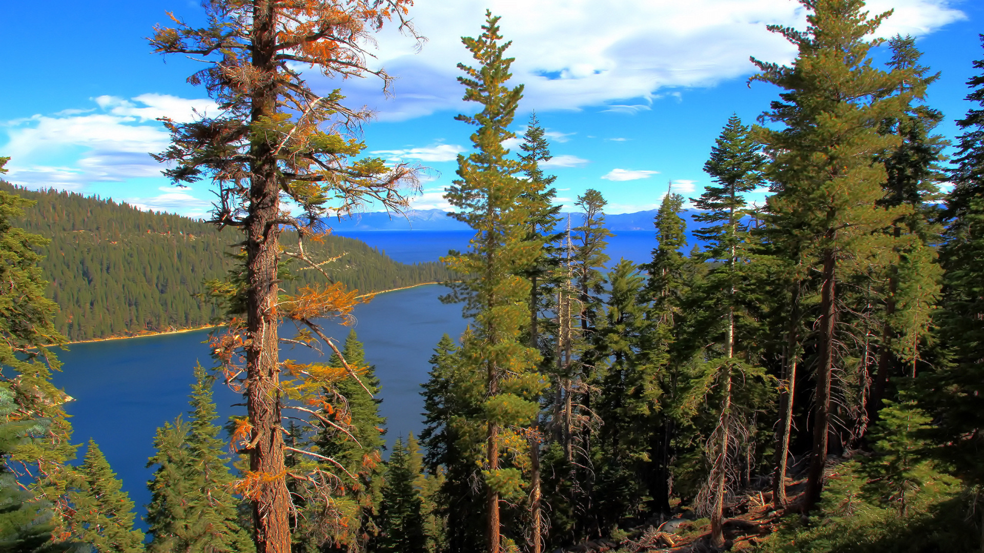 Green Trees Near Lake Under Blue Sky During Daytime. Wallpaper in 1920x1080 Resolution