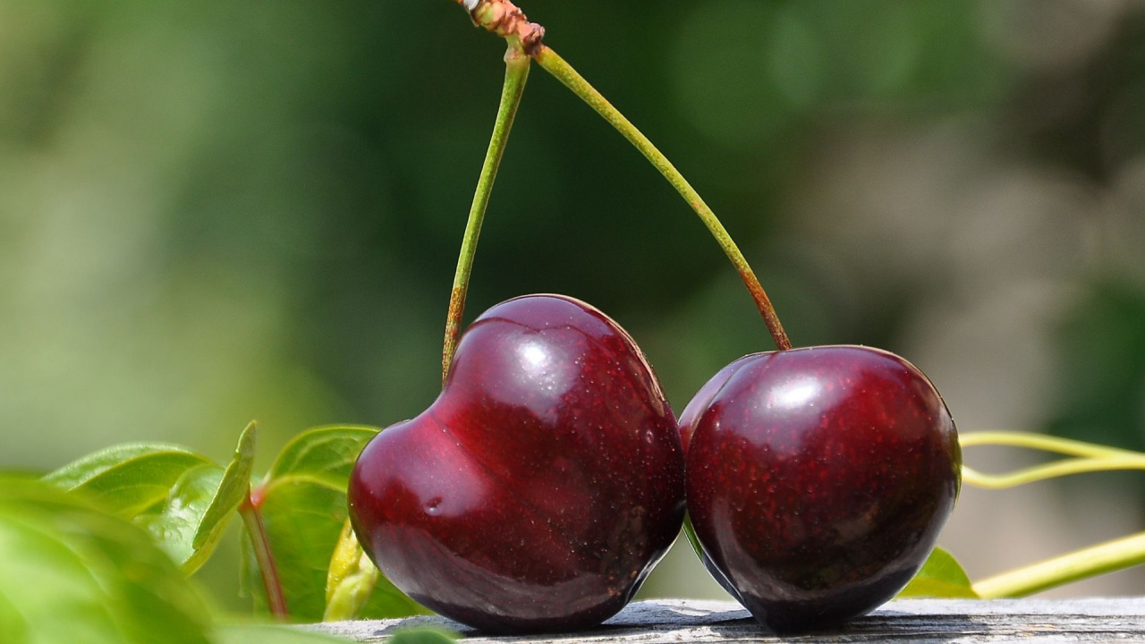 Gepaarte Artikel, Kirsche, Kirschfrucht, Sommerfrüchte, Frische Kirschen. Wallpaper in 1280x720 Resolution