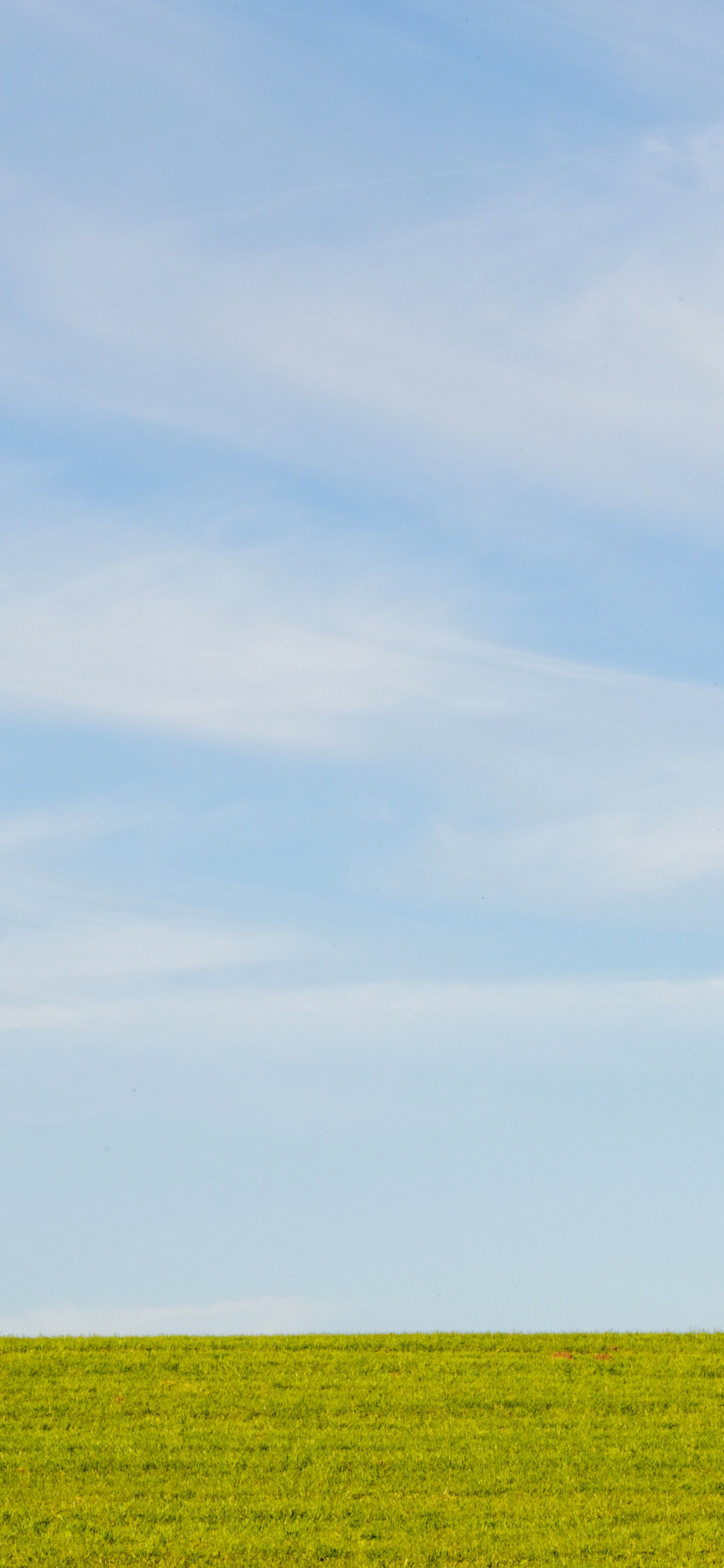 Plain, Crop, Cumulus, Sky, Blue. Wallpaper in 1125x2436 Resolution