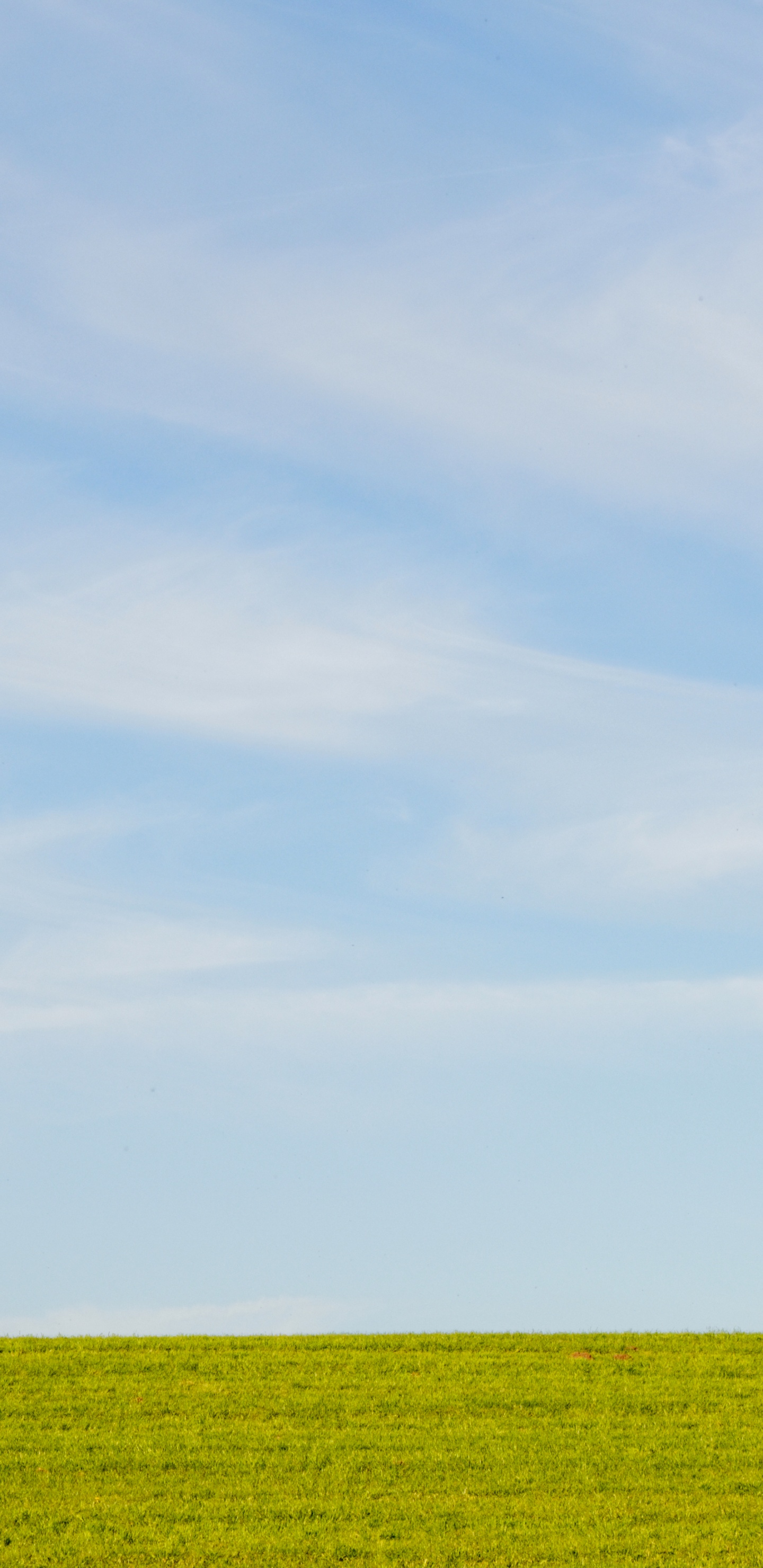 Plain, Crop, Cumulus, Sky, Blue. Wallpaper in 1440x2960 Resolution